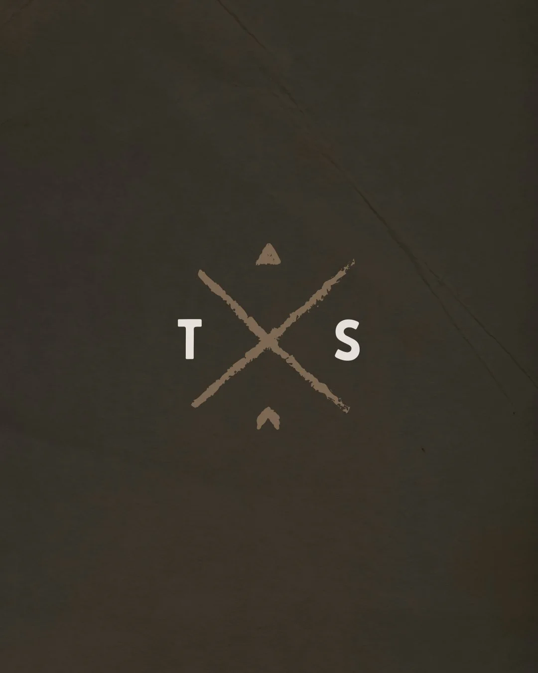 T&S Logo Mark.jpg