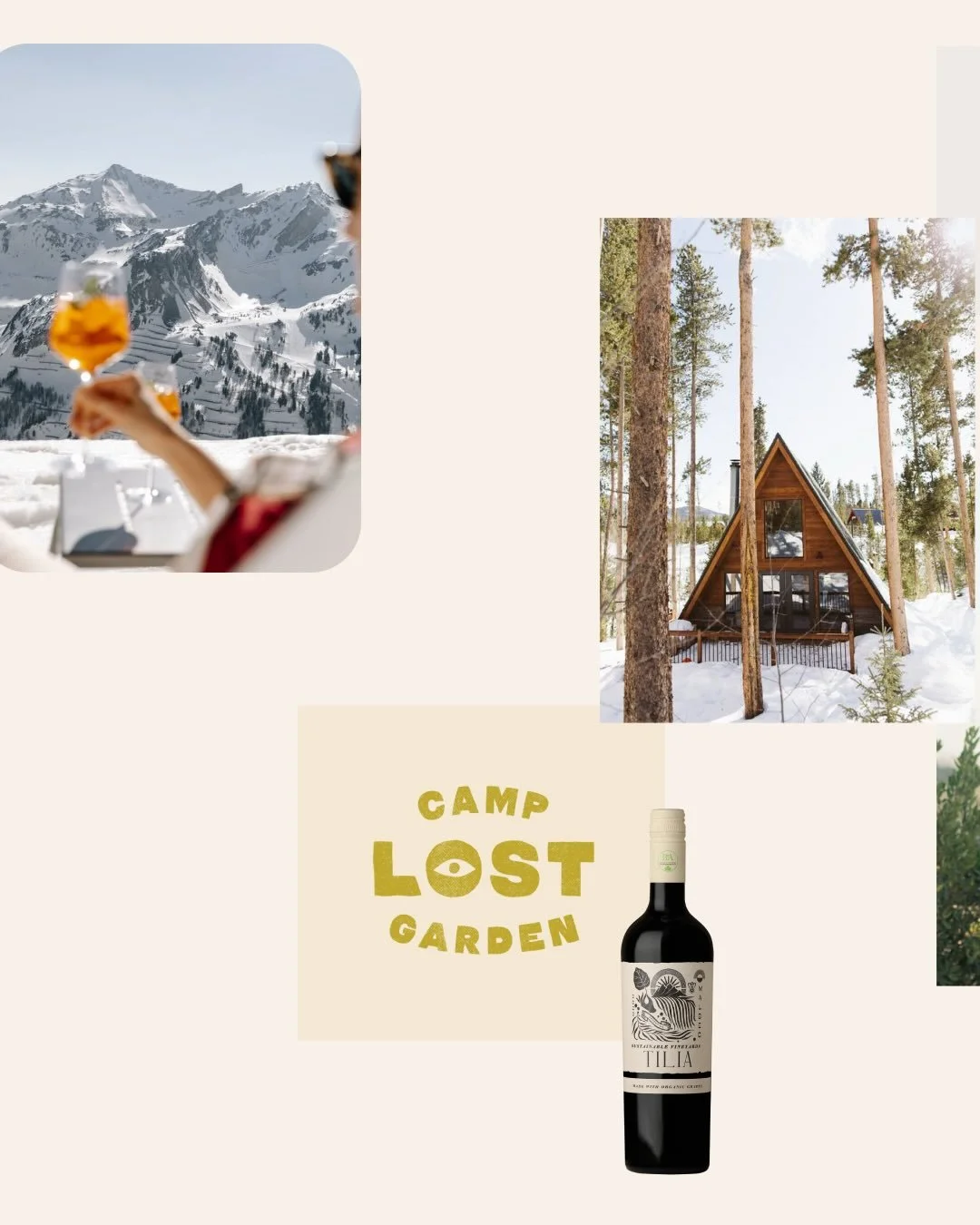 Retro. Fun. Bright. Outdoorsy. 

This brand brings ALL the Colorado vibes. Final delivery for this one just went out and I can&rsquo;t wait to share much more of the brand + website soon!!