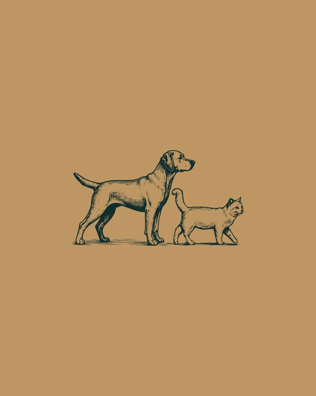 Be still my dog-loving heart 🥹
⁠
Snippets of a logo concept in the works!