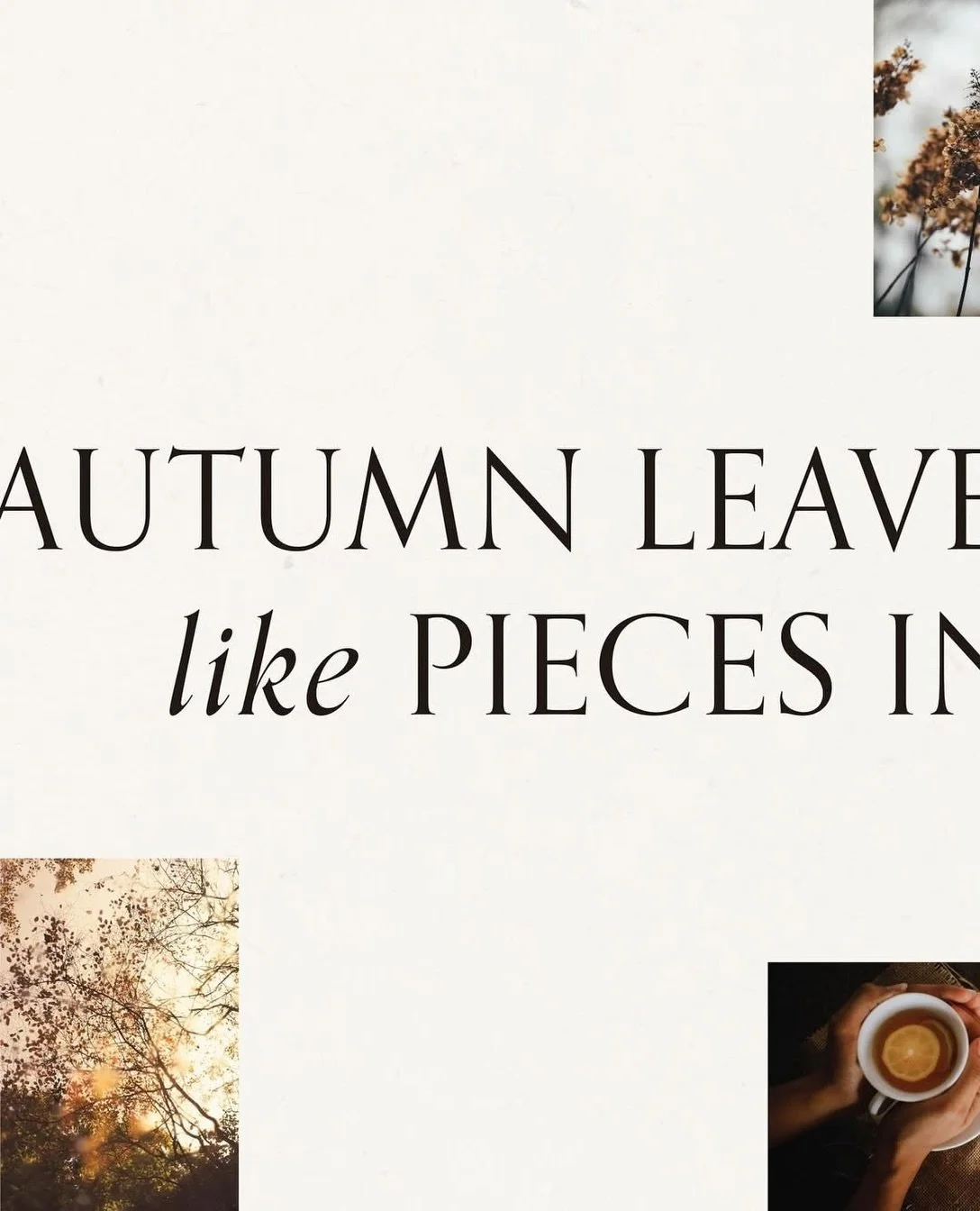 Like if you love fall, because it&rsquo;s hereeeee 🍂🍁 

I&rsquo;ve spent the last few weeks clinging to summer like a life raft, but we are settled into New England for the season and this morning long sleeve weather decidedly arrived, and I am now