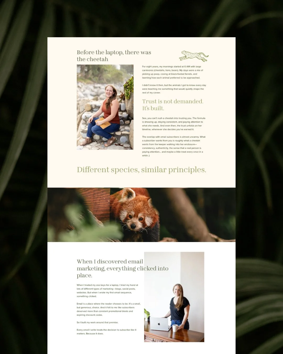 Website Design Kopp Copy-5.jpg