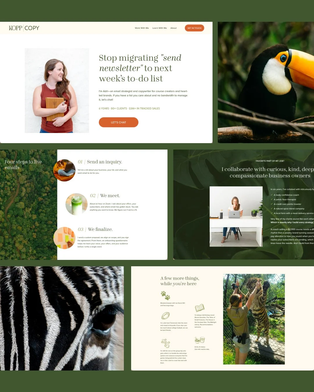 Website Design Kopp Copy.jpg
