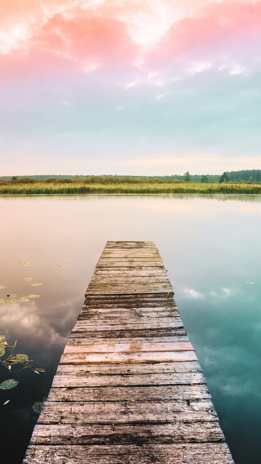 A wooden dock extending over calm water with lily pads, surrounding lush green reeds, and a pastel-colored sky with clouds. Affordable therapy in Bend, OR.