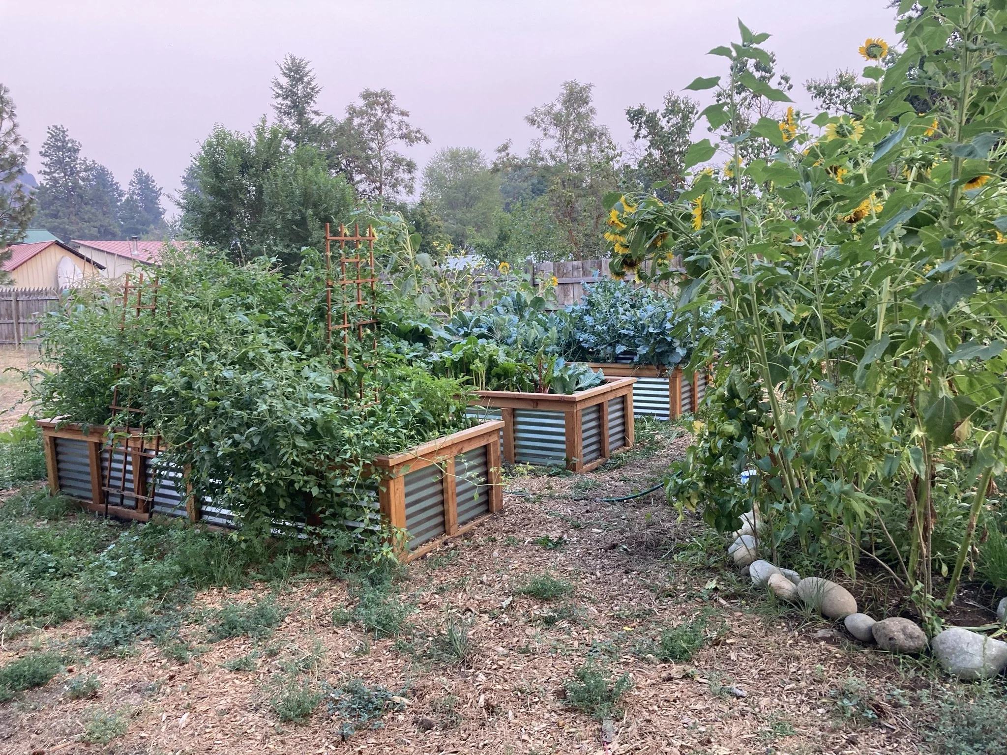 Three raised metal and wood garden beds in Winthrop, Washington
