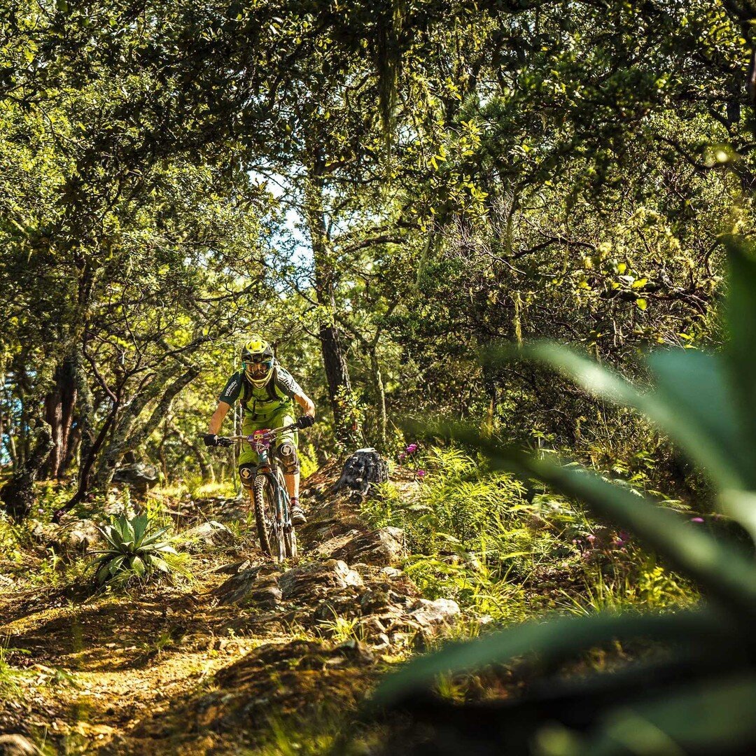 Just picture yourself riding down 2500 ft descents with more than 3 different types of terrain surounded byr rocks, pine tress, agave plants, loam, marbles, tacky and loose, steep and deep, flow, natural and raw trails. 

The time is here for TSN to 