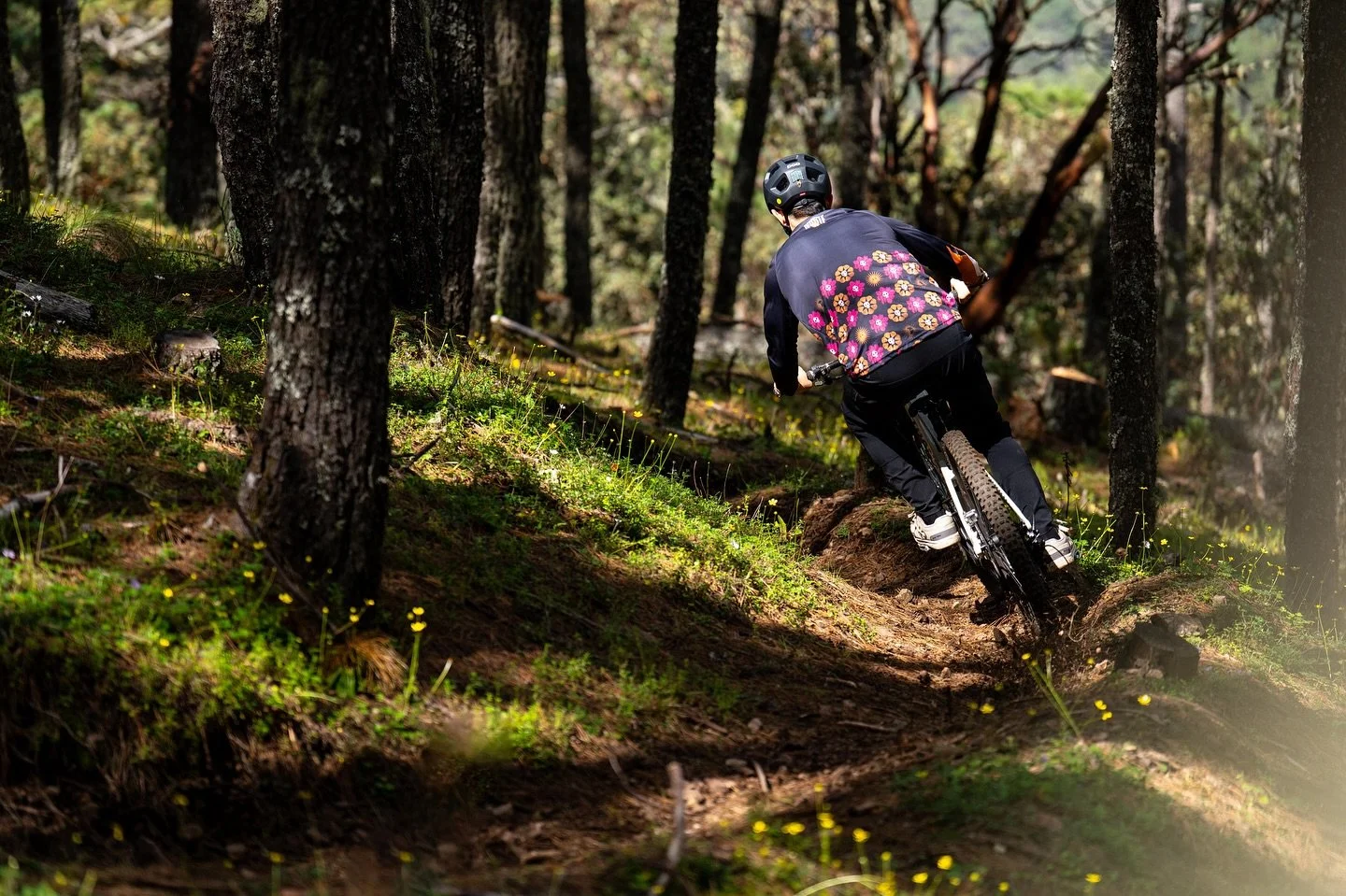 Come ride with the best in Oaxaca! 

Ride TranSierra Norte tours, all year round custom experiences!

Fancy a true Oaxacan style lunch? And the best riding? We got you covered!

Send us an email or call us and we&rsquo;ll be happy yo help!

#ridetran