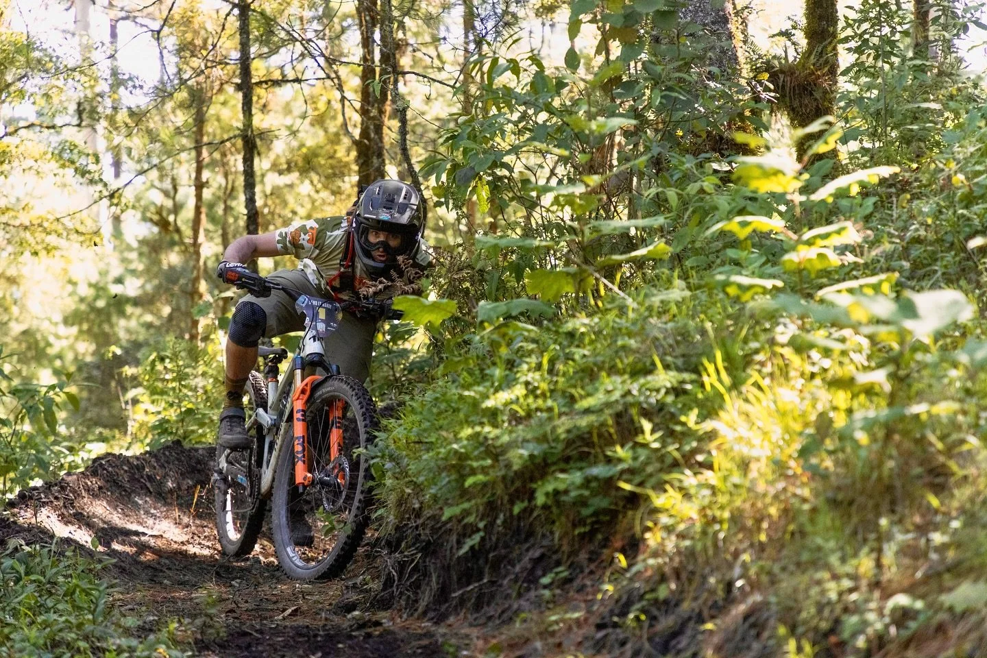 Considering racing TranSierra Norte in 2026? 

Hurry up! We are 50% sold out! 

The best multi day/multi stage Enduro race in the world!

www.transierranorte.com

#transierranorte #ridetransierranorte #oaxaca #dayofthedead #mexico