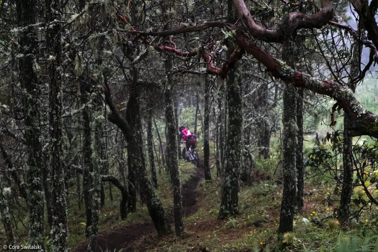 Into the forest&hellip; Can&rsquo;t wait to have you all back in Oaxaca for the D&iacute;a de Muertos celebration and the best multi day Enduro race in the world! TSN 26

Sign up now! www.transierranorte.com

Pic @___swittt 

#oaxaca #dayofthedead #t