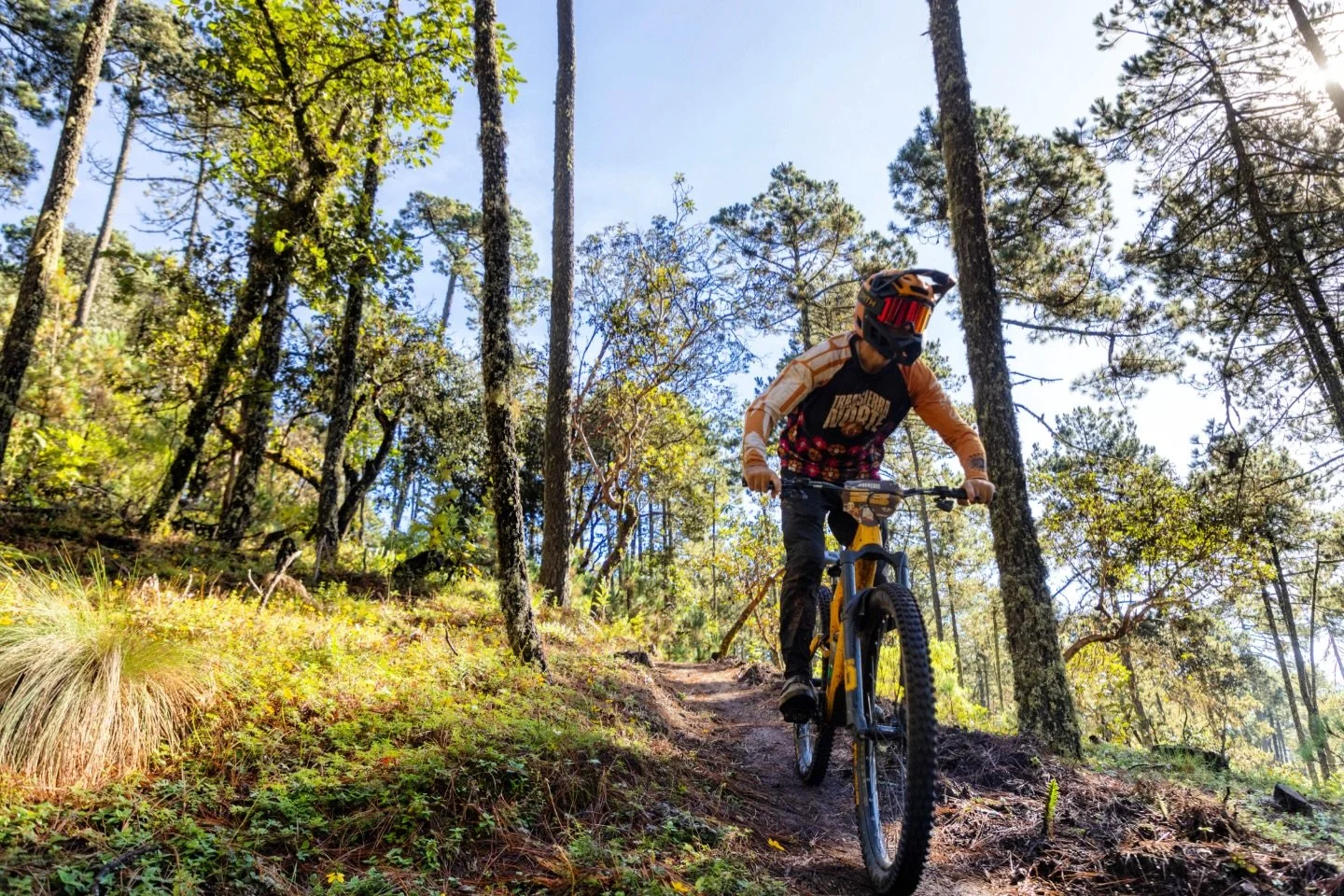 #transierranorte #ridetransierra #oaxaca #bikes #dayofthedead
