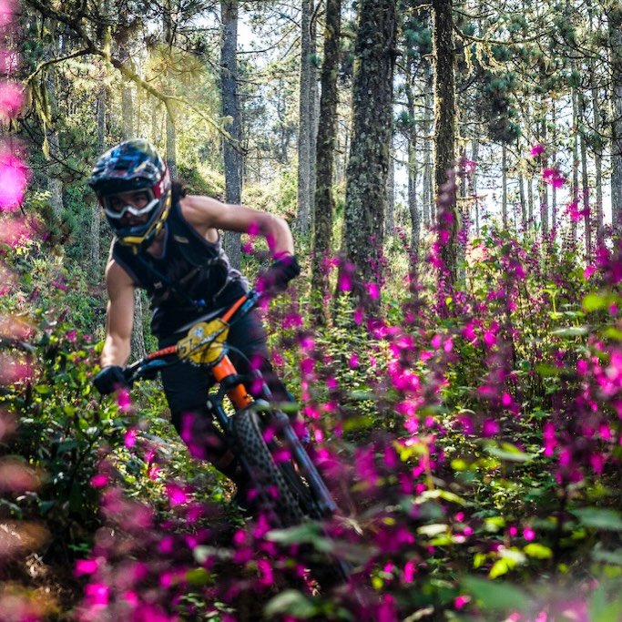 @john_richardson_ tears through a technicolour burst of Sierra wildflowers. TSN 2021 photo: @nicoswit_photo