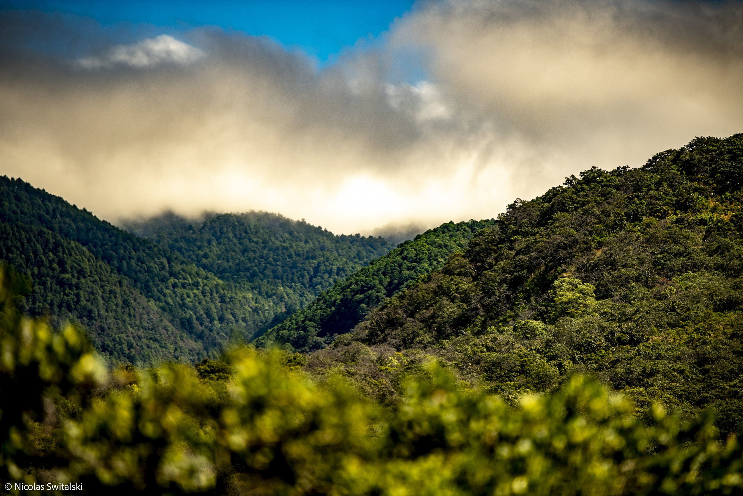 Sierra Norte Oaxaca mountain biking terrain