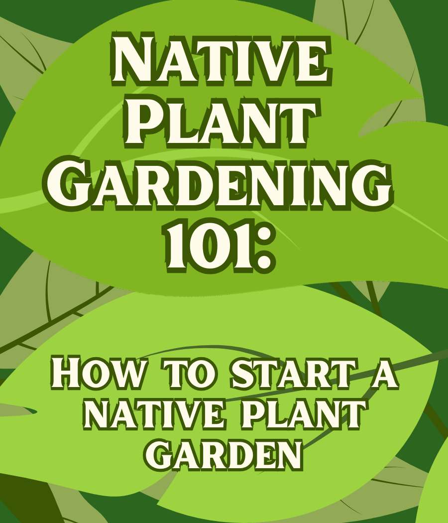 Native Gardening 101: How to plant your own native garden 