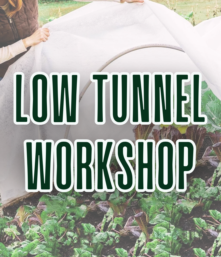 Low Tunnel Workshop
