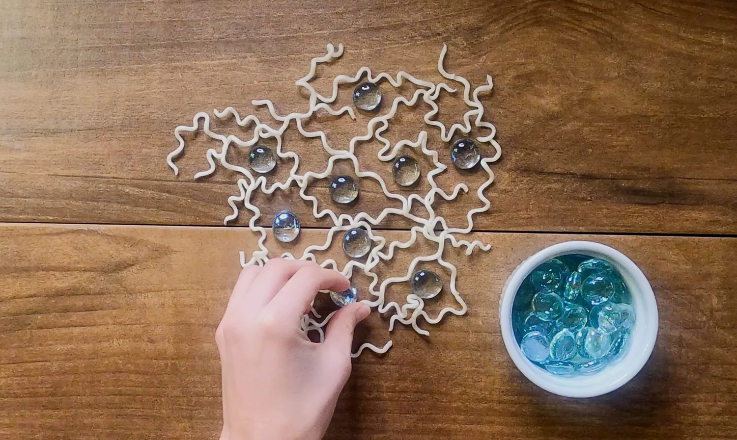 Our Story — Inquisicook Culinary Science