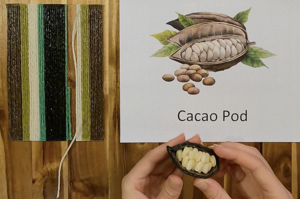 Model of a Cacao Pod
