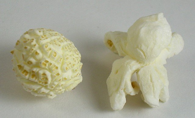 Mushroom_and_butterfly_popcorn.jpeg