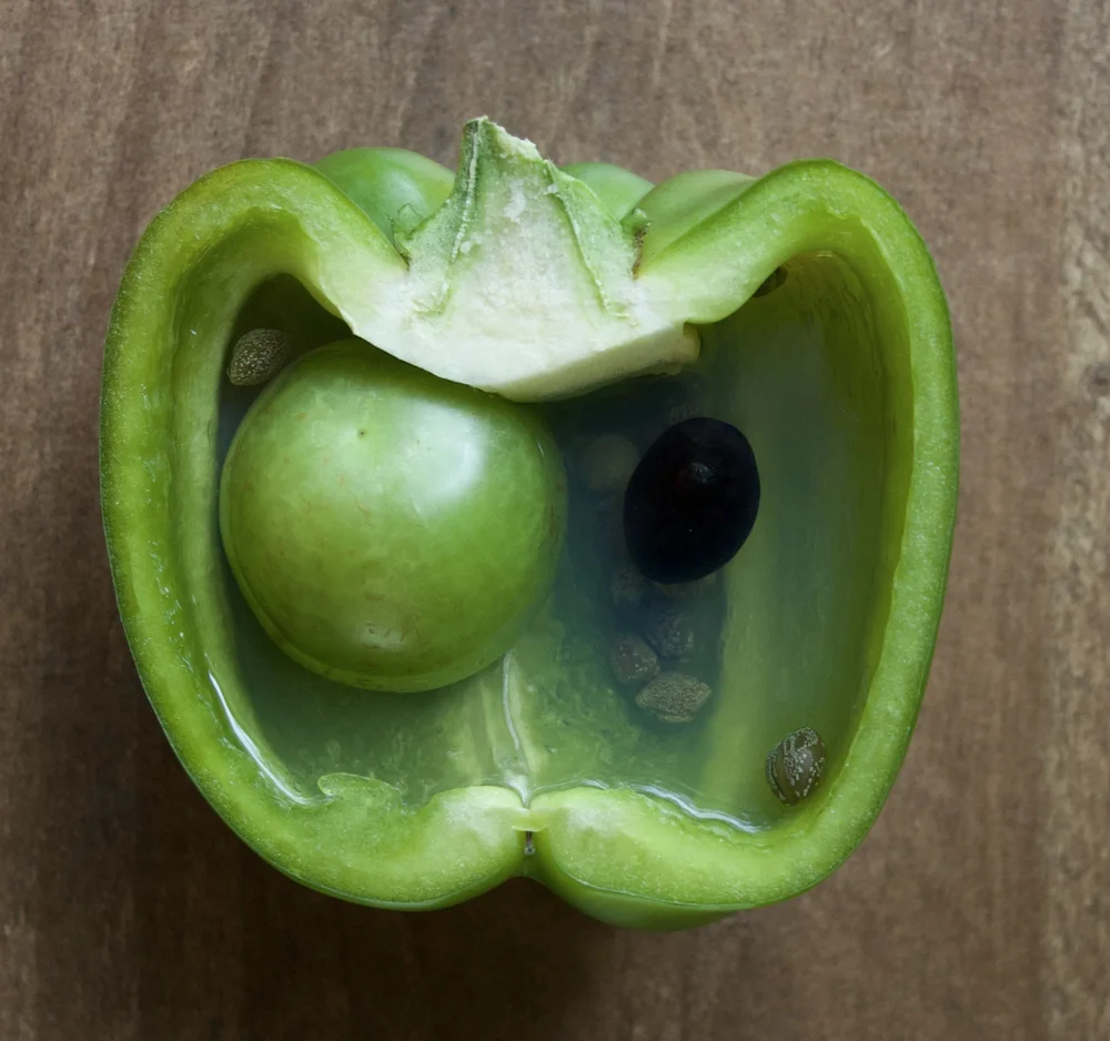 Plant Cell Model 1.jpeg