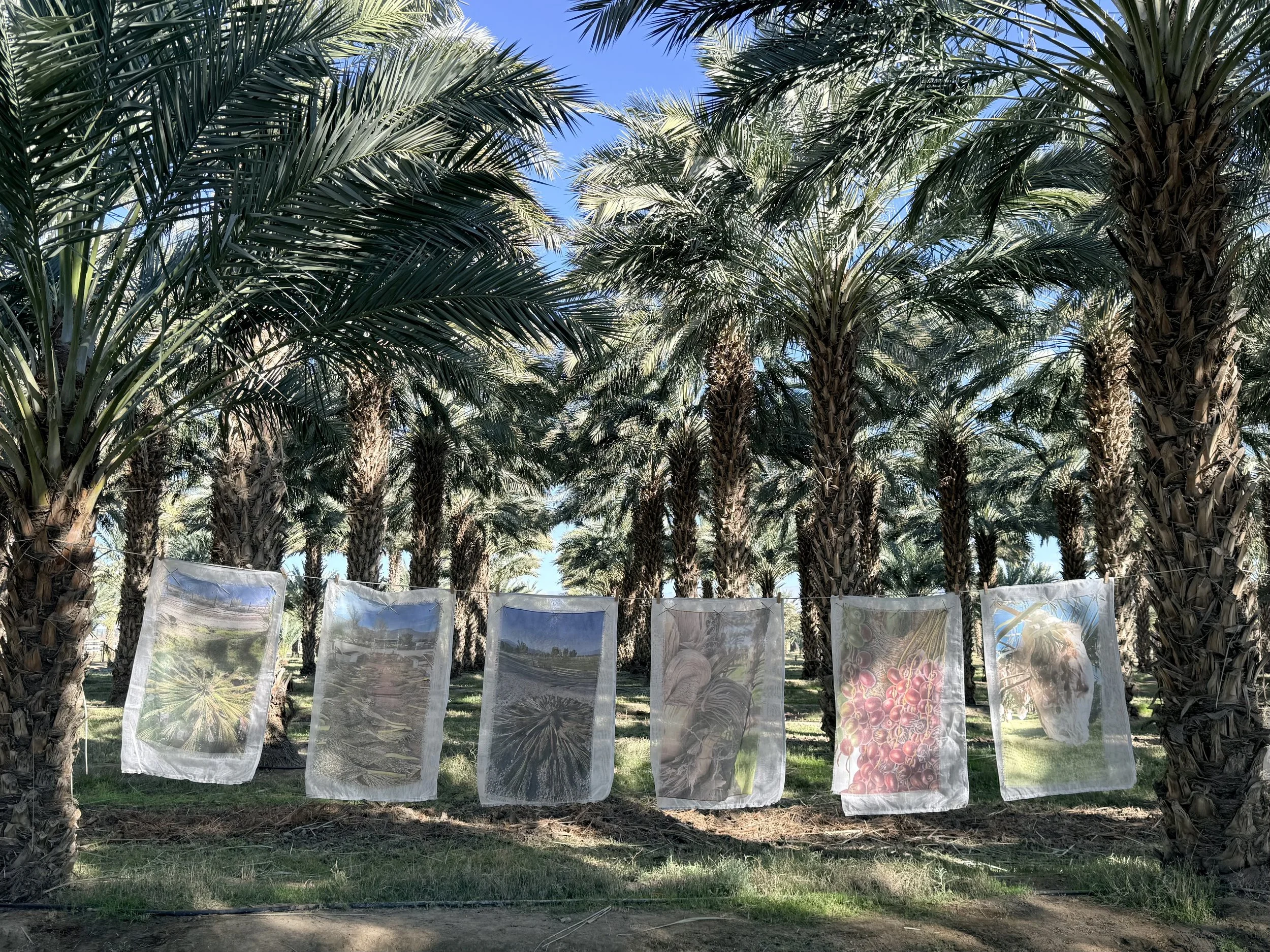 Installation Mother Tree 7.jpeg