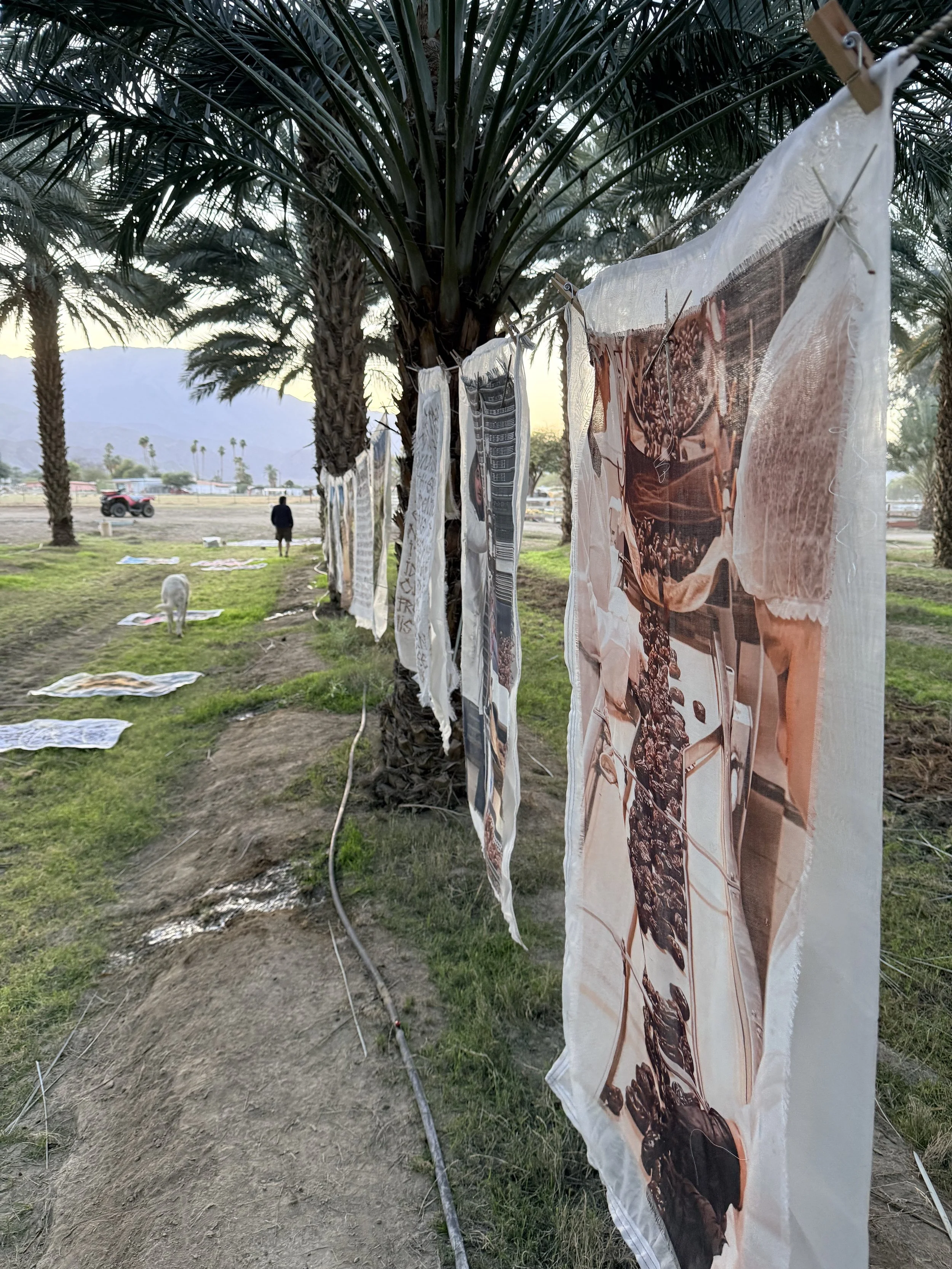 Installation Mother Tree 1.jpeg