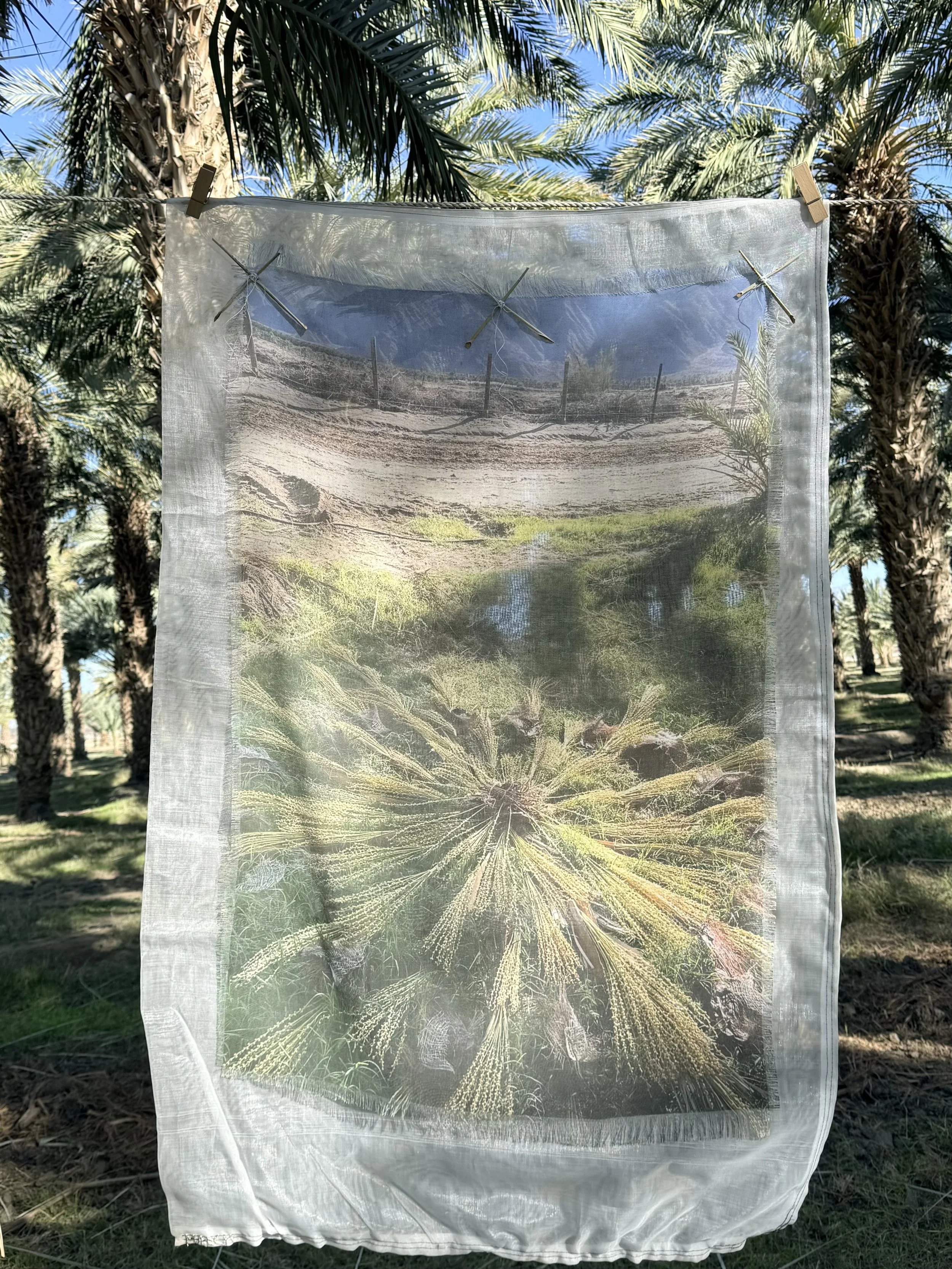 Installation Mother Tree 12.jpeg