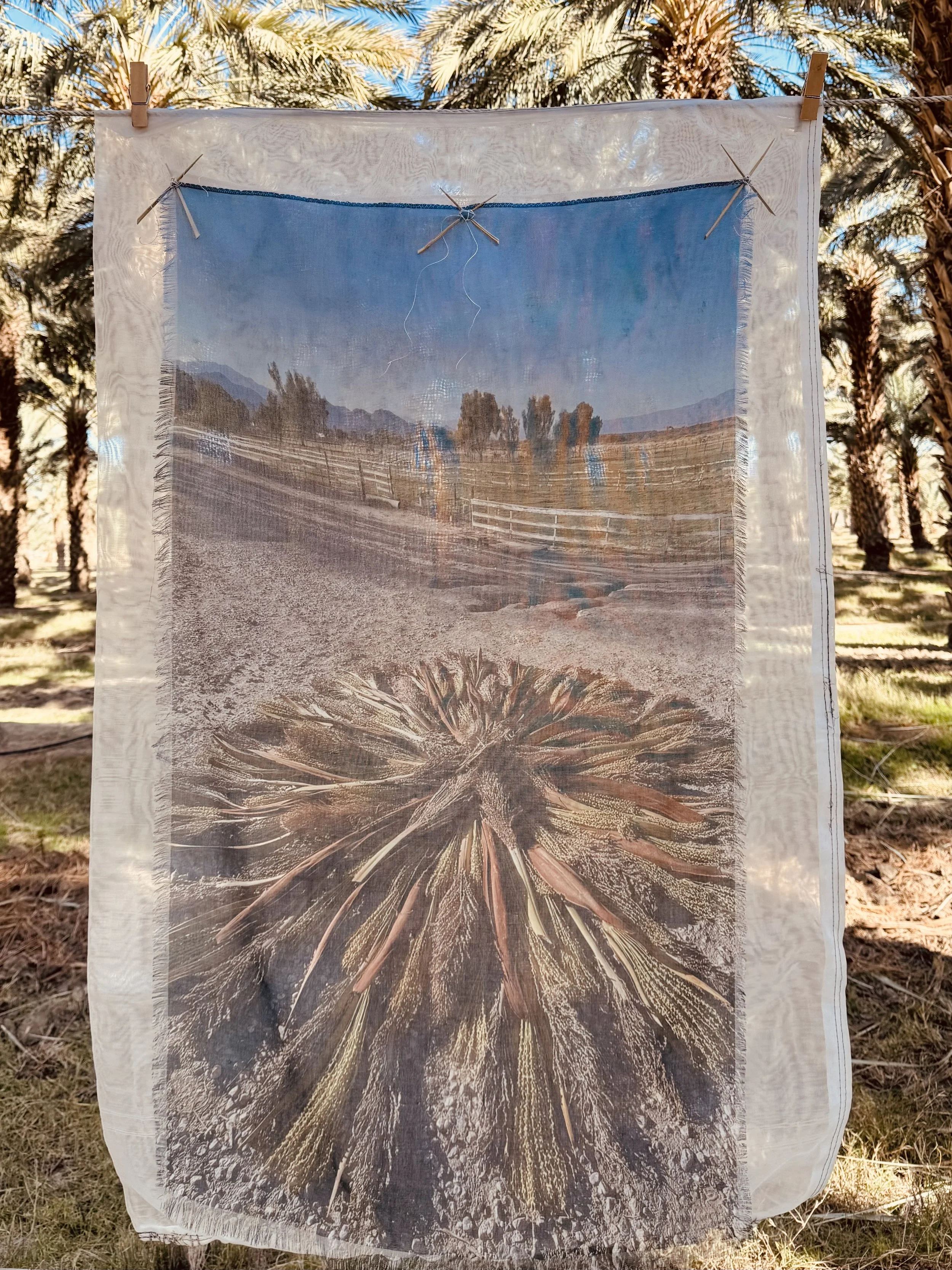 Installation Mother Tree 11.jpeg