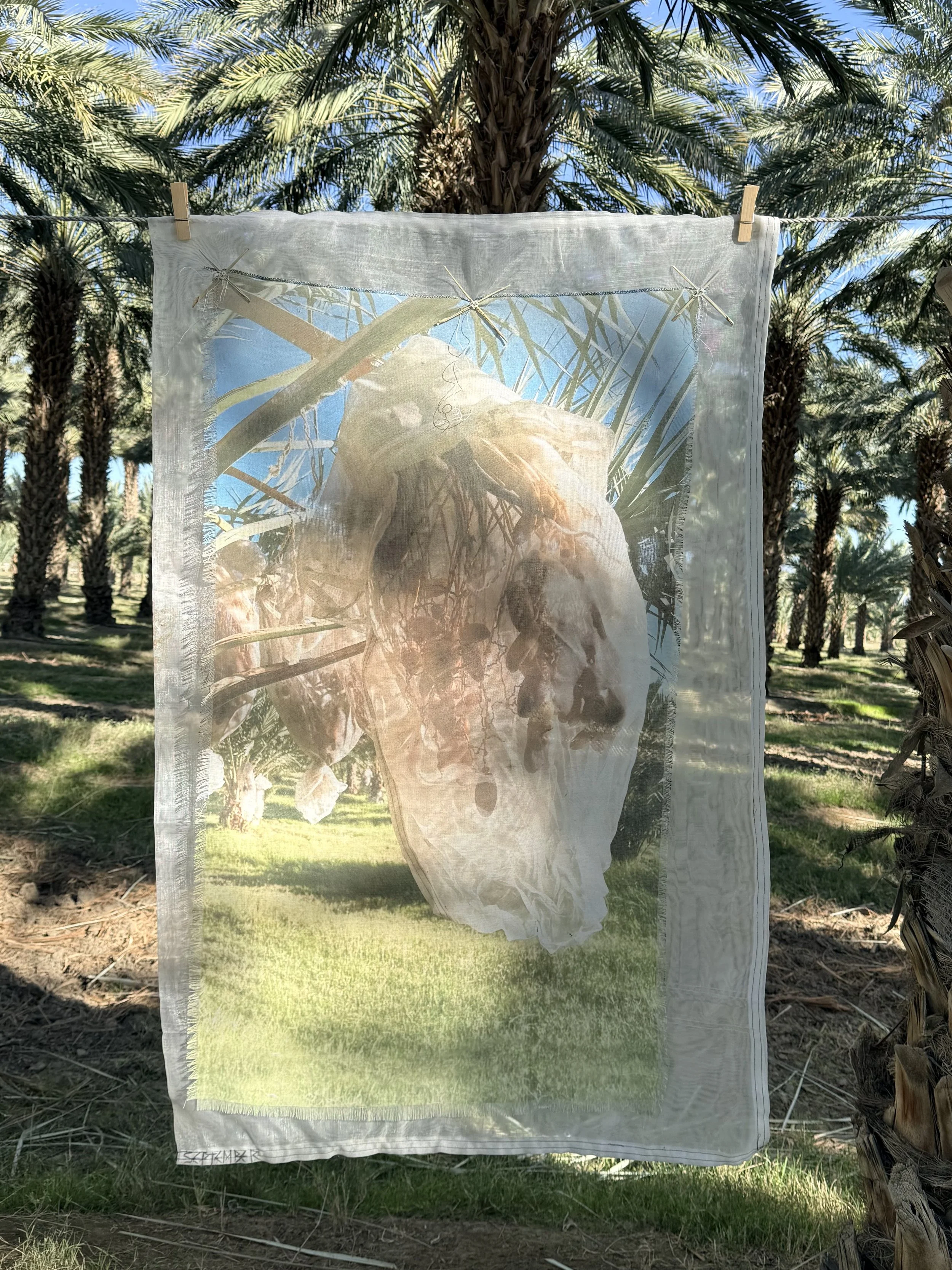 Installation Mother Tree 10.jpeg