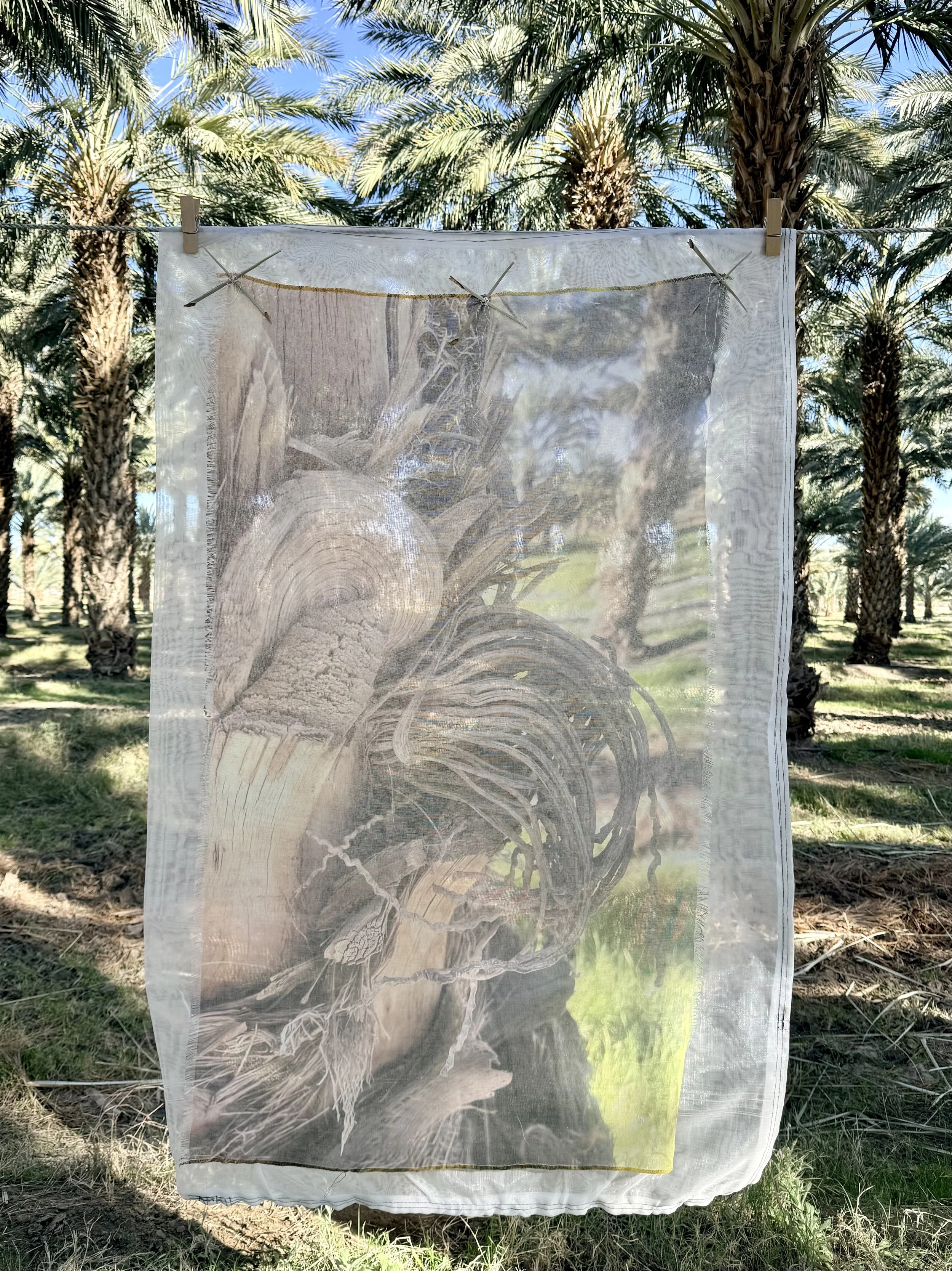 Installation Mother Tree 8.jpeg