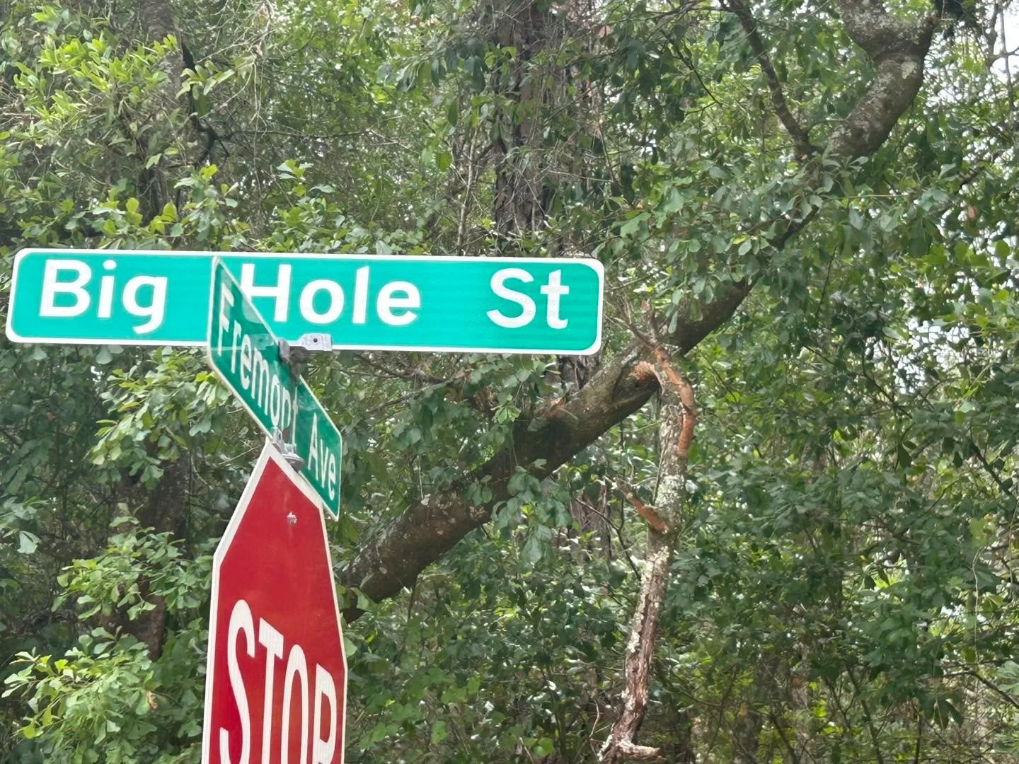 Kathleen is always traveling to the end of the earth to meet with clients in North Florida.