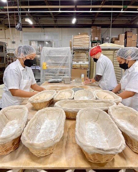 Thanks @1aurava11i for coming to visit us from the @wsu_bread_lab! We were glad to have you here for a day of grain and bakery talk...plus, eating. Hope to see you in WA someday.