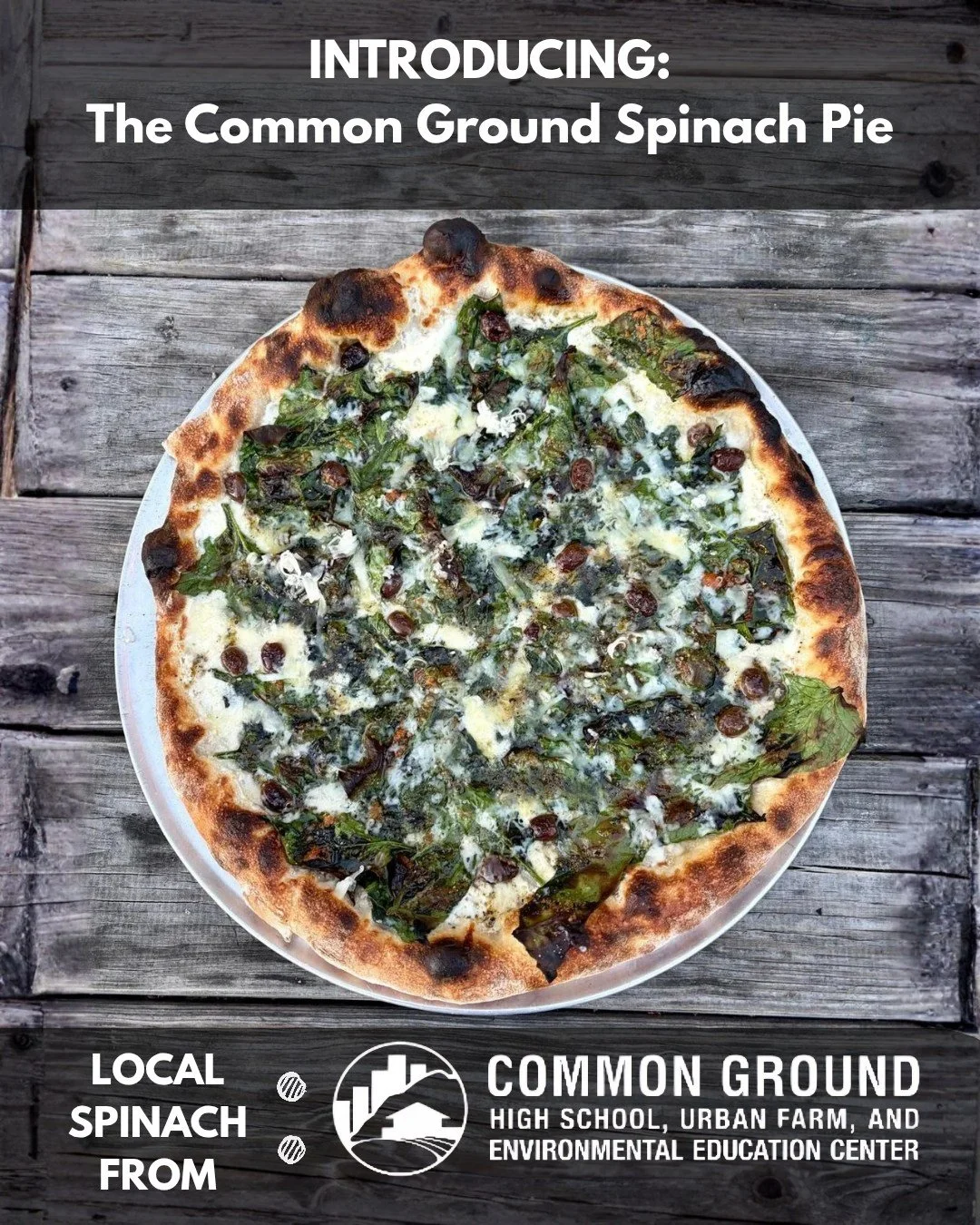 Sneak peak at one of this week's pizza specials! Introducing : the Common Ground Spinach Pie

stracciatella, scamorza, local spinach, taggiasca olives, pecorino toscano, black pepper + meyer lemon oil

Our friends @commongroundct grew some of the swe