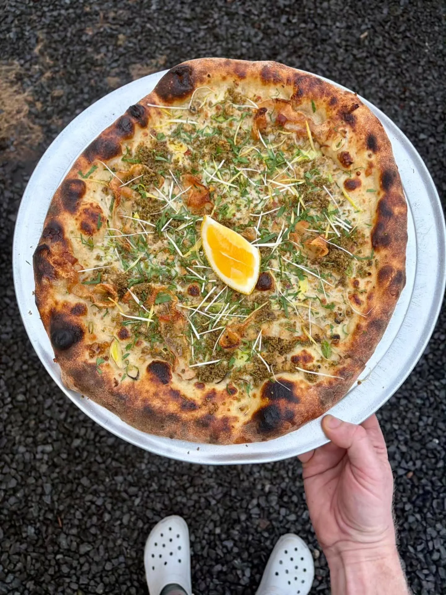 Sneak peek at one of this week's 🍕 specials 🌊❄️☃️

White Clam, Garleek + Guanciale Pie 
chopped cherrystones, clam cream, garleeks, @waldenhillco guanciale, herb bread crumbs, lemon + horseradish gremolata 

Starting tomorrow :
available through Sa