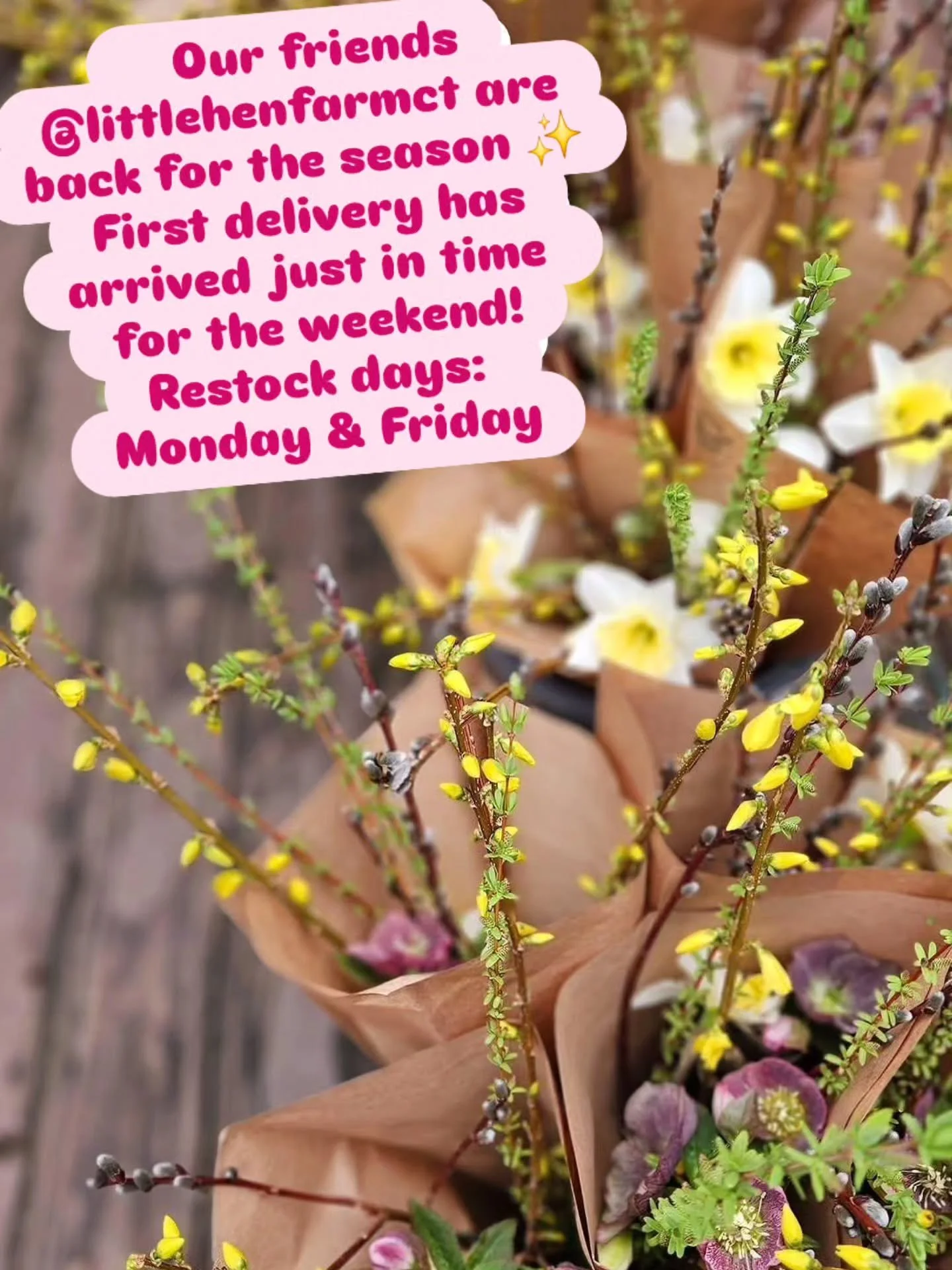 Our friends @littlehenfarmct have returned for the season! The first of many deliveries arrived today! Come by and get your 💐🌱 now!

#ctagriculture #ctgrown