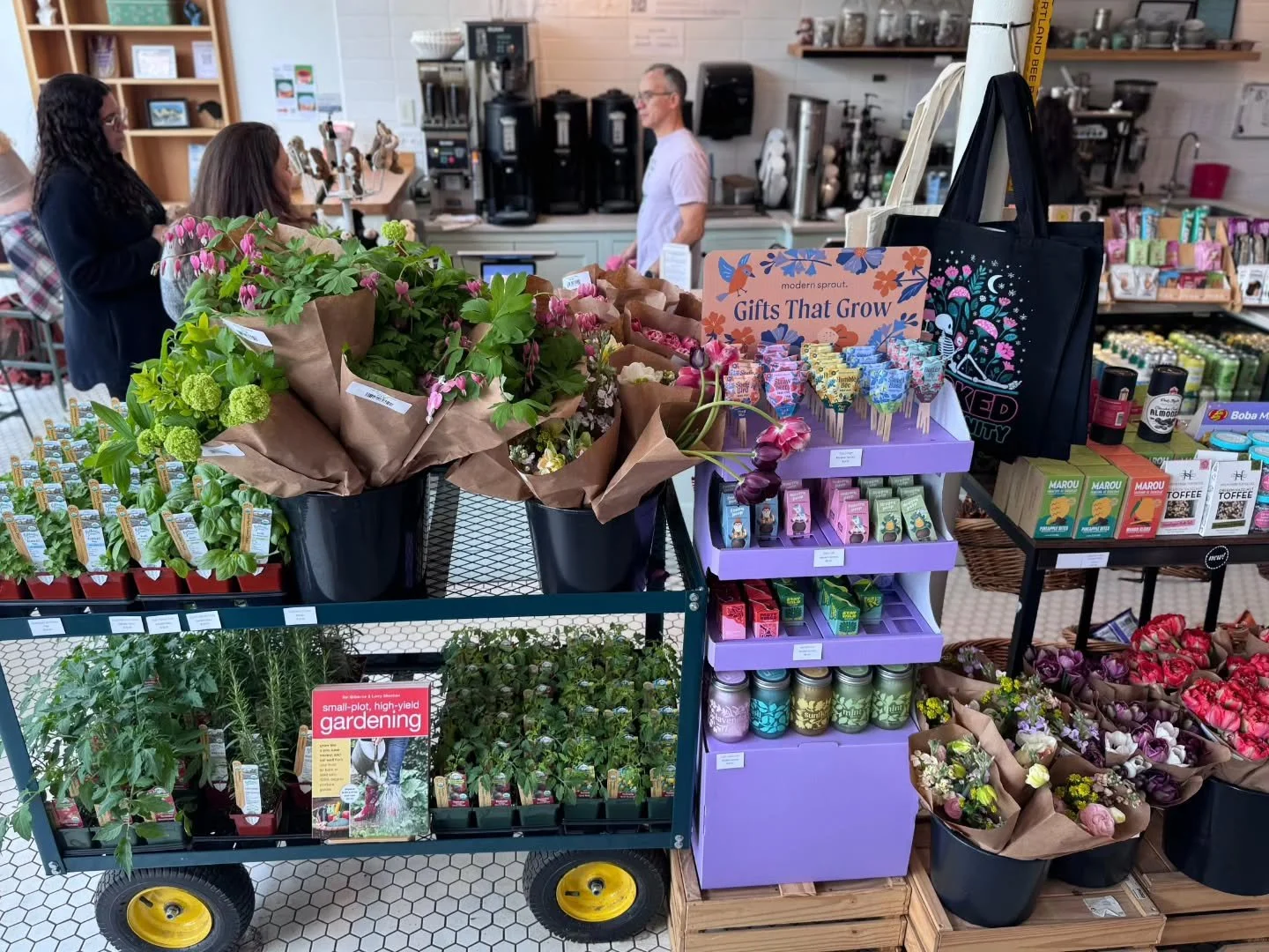 Atticus Nursery back in action ✨️🌞

Seedlings:
🌱Basil
🌱Parsley
🌿Rosemary 
🍅Indigo Cherry Drop Tomatoes 
🍅Beefmaster Tomatoes

A variety of "seed pops" 🍭 and fun mini grow kits💥

And a variety of cut bouquets for mothers day from our