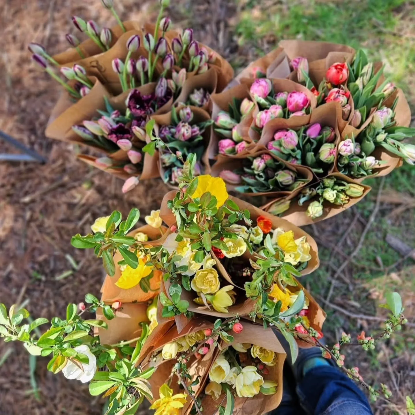 @littlehenfarmct weekend restock 🌞🌿💐