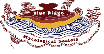 Logo for Blue Ridge Mycological Society featuring stylized mushrooms, land, and water elements