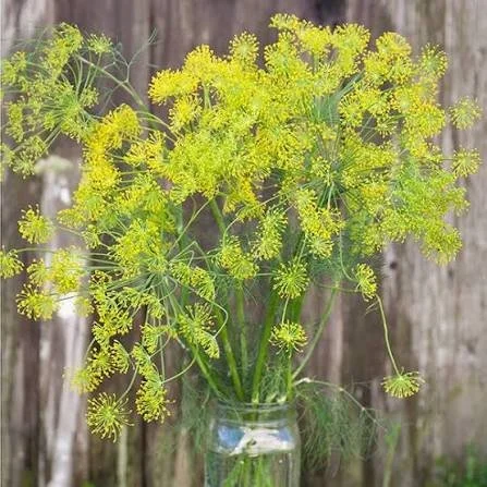 Pickle Bouquet Bar at Field Floral Design