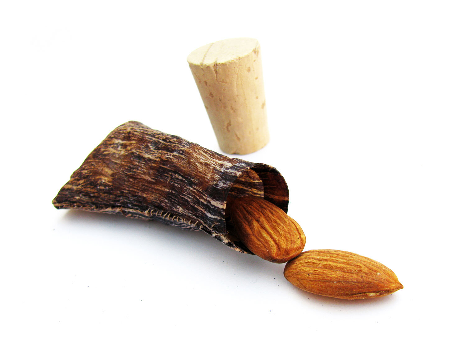 bon aprofit vajilla comestible -web.jpg