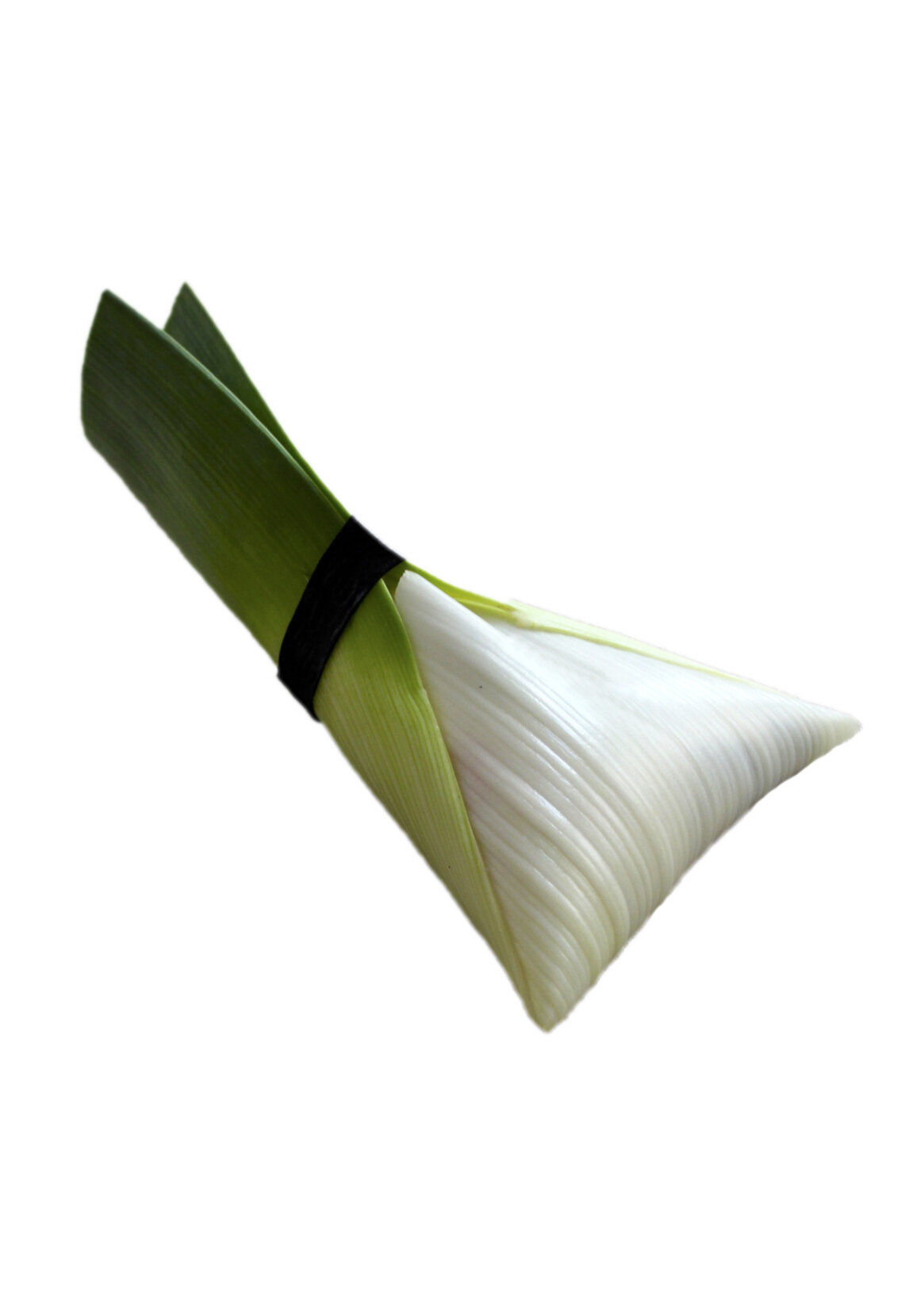 porro 2.jpg