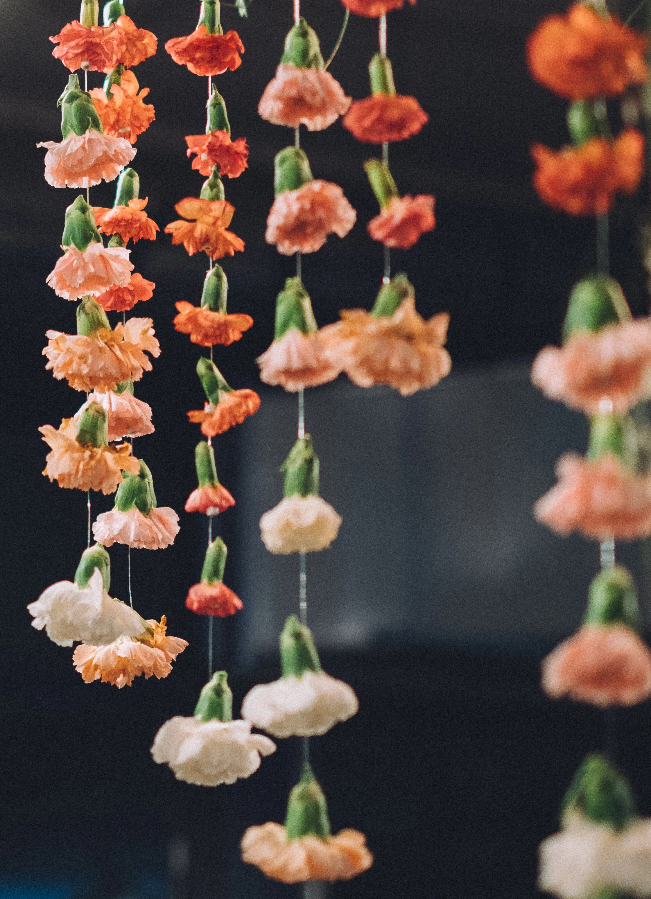 FLORIR-24.jpg