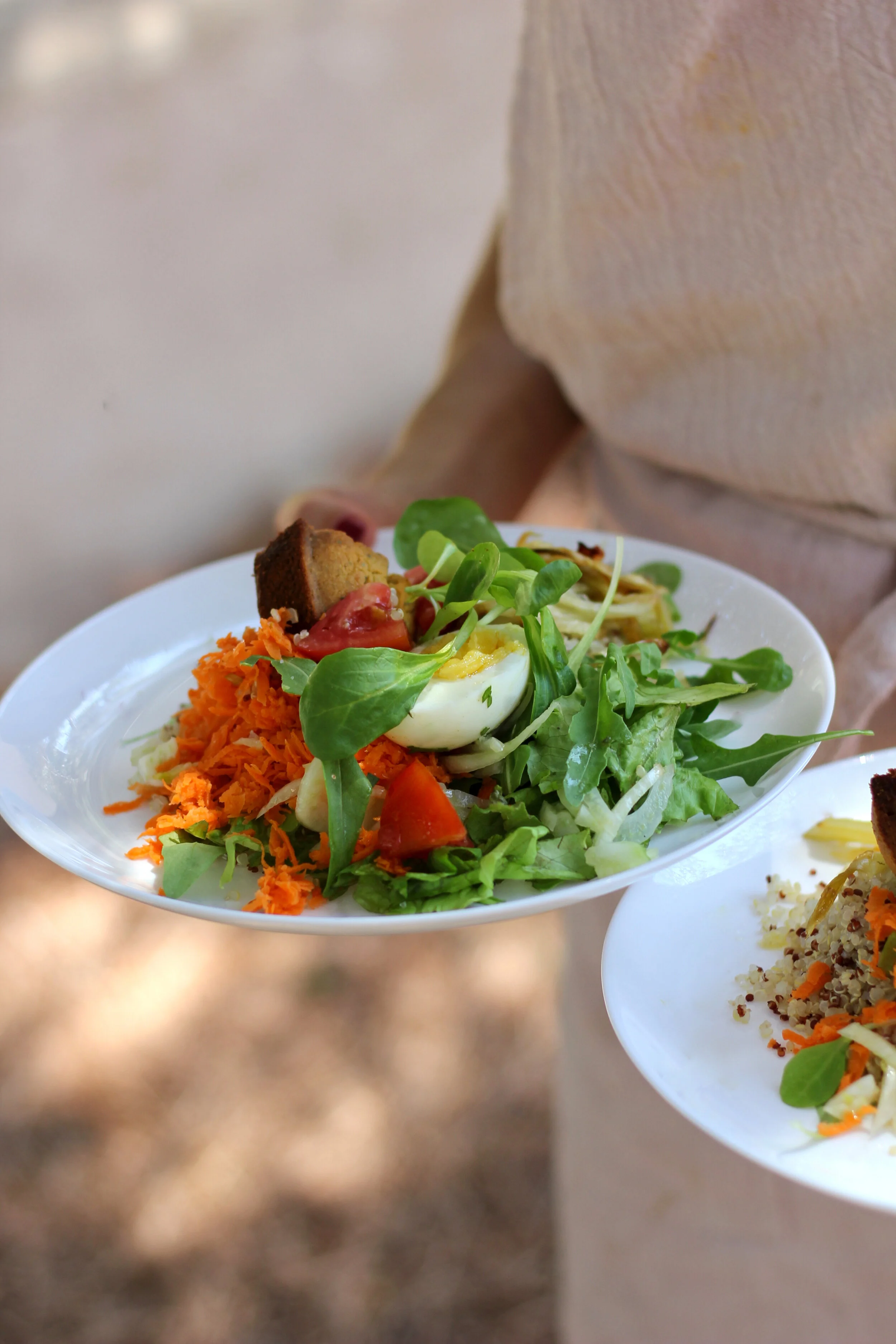 bon aprofit retir catering mas olivella 28.jpg