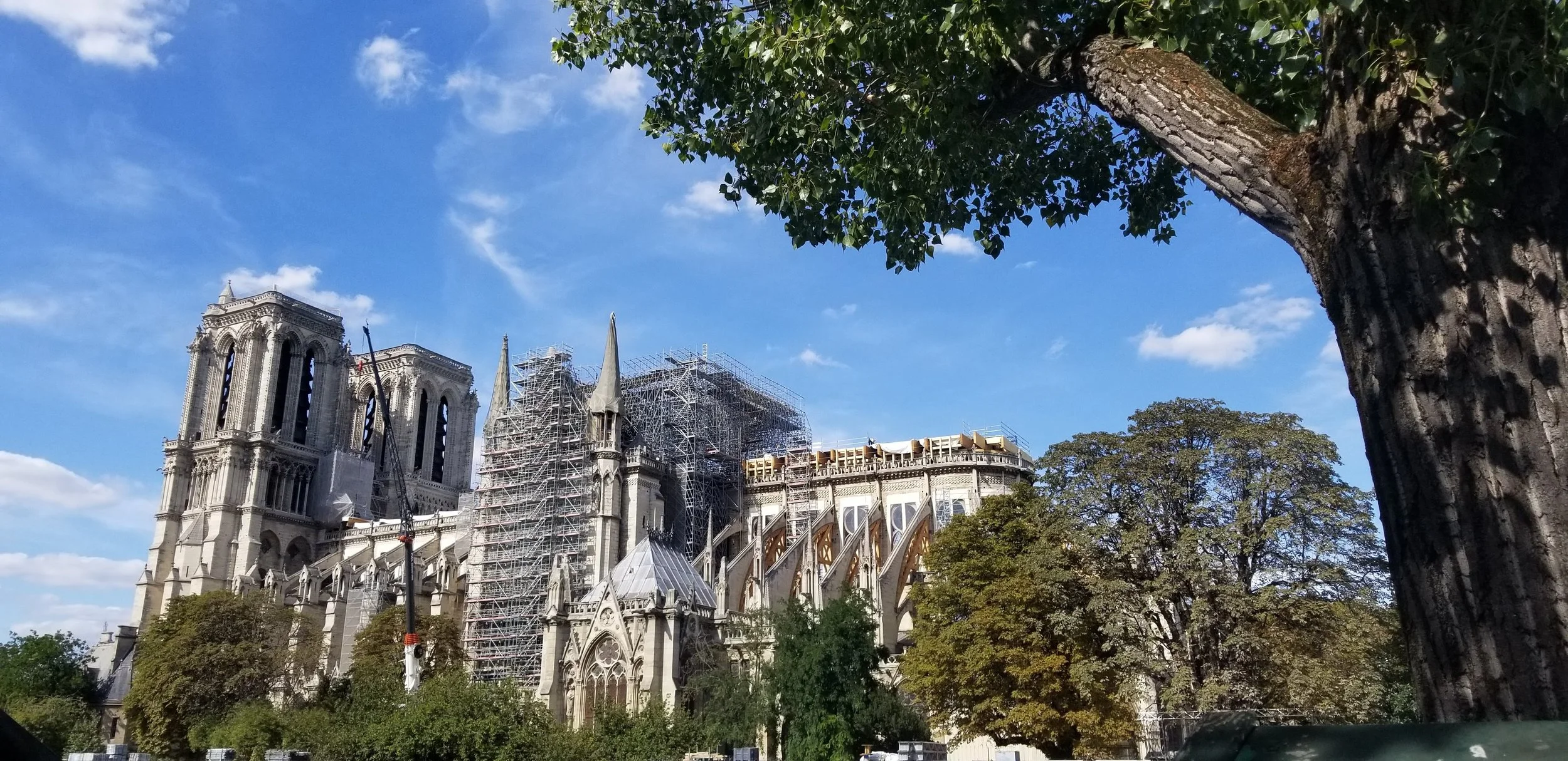 20190903_154956.jpg