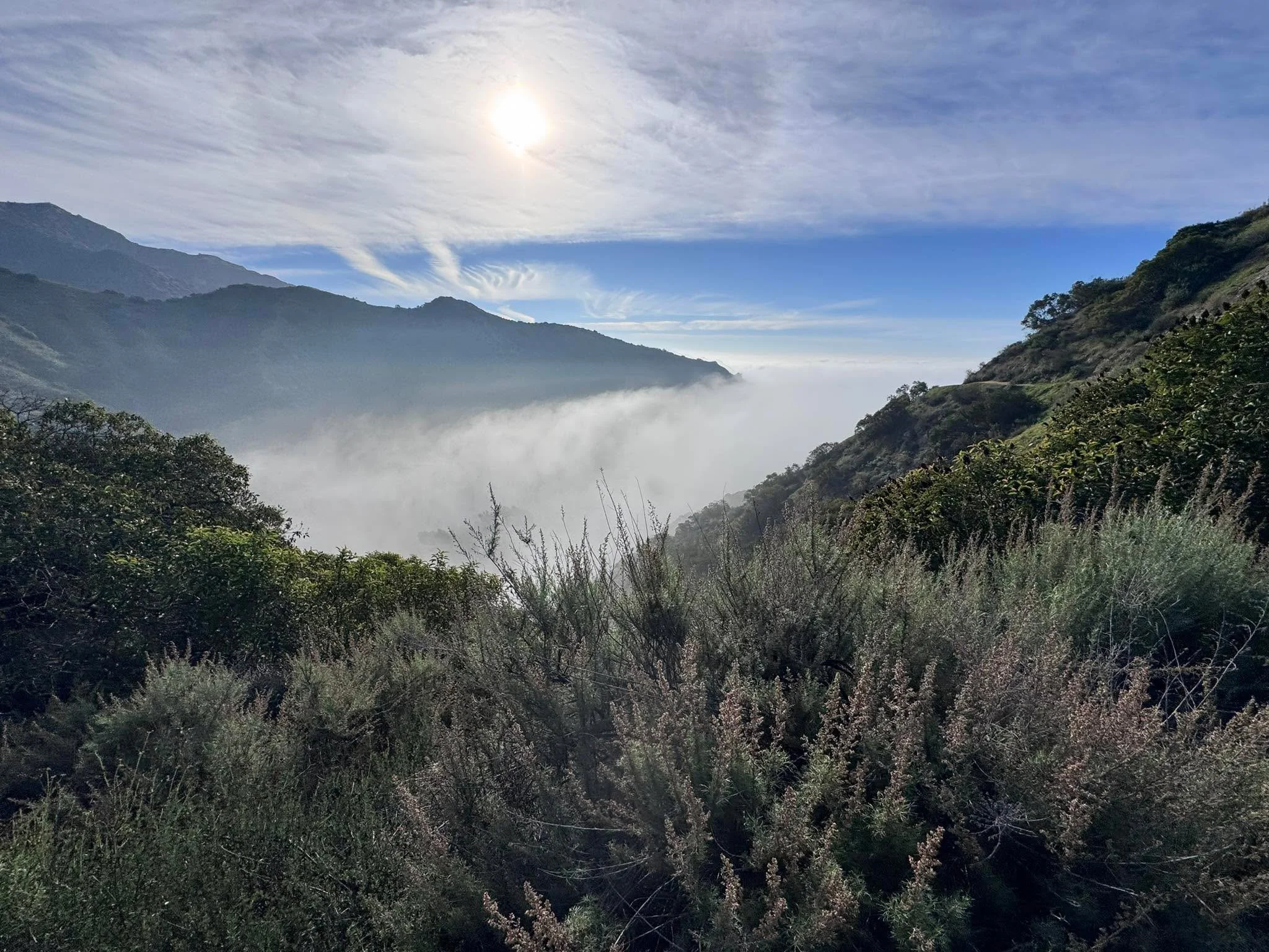 Good morning! ☀️