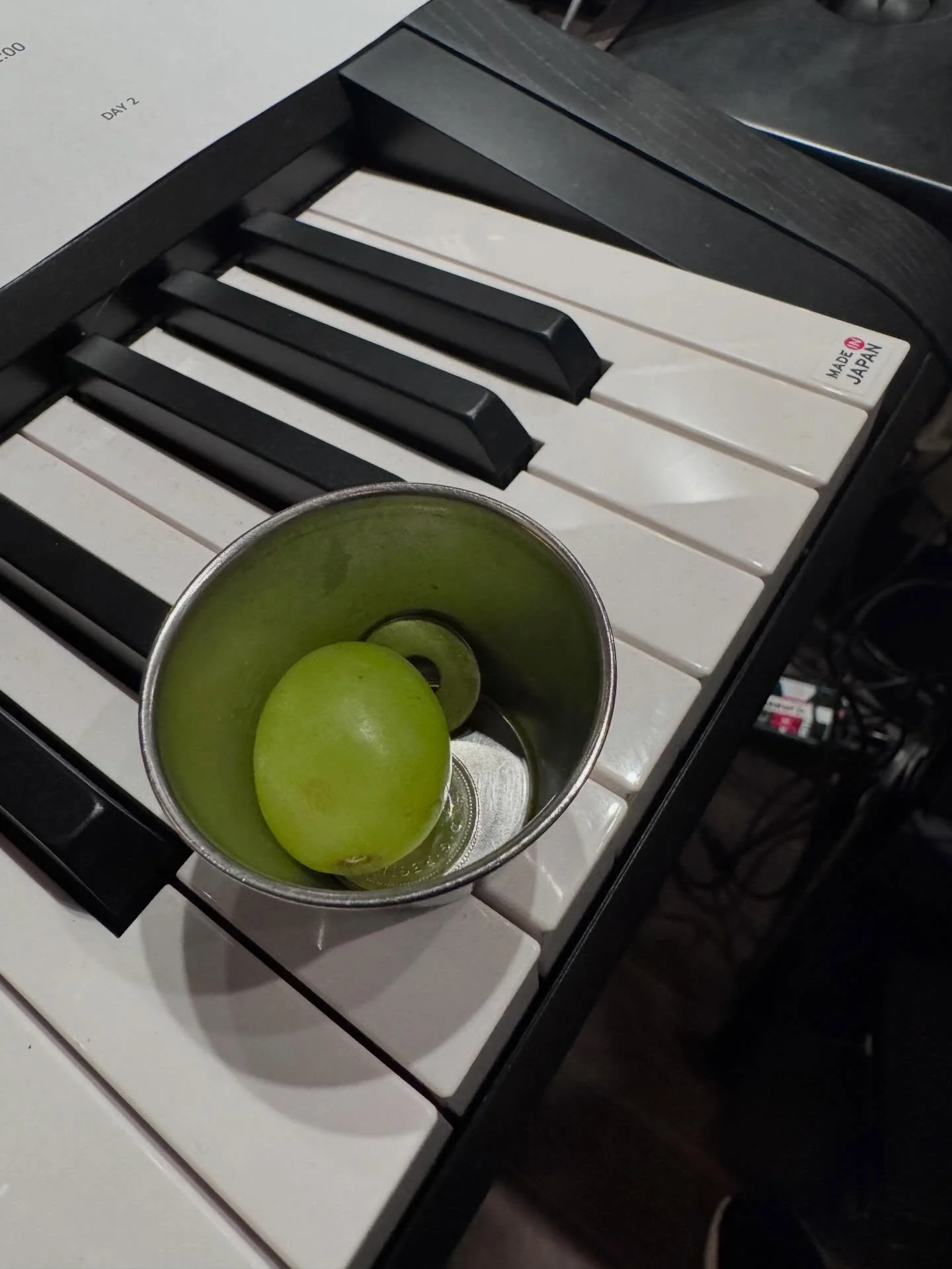 Apparently I&rsquo;ve really stepped up my game &mdash; my tip jar is overflowing with coins, grapes, and laundry tokens 🏆 #laundry #grapes #coins