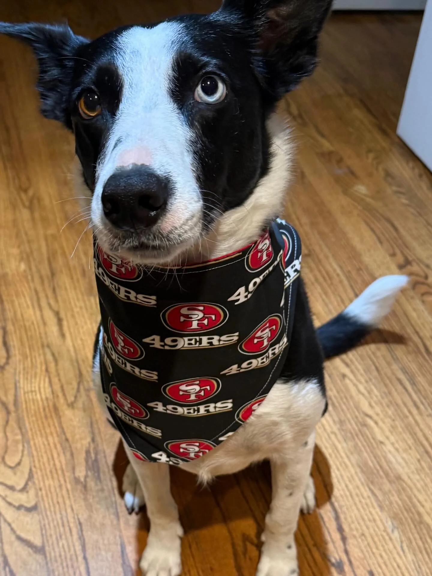 Game day ❤️ #49ers