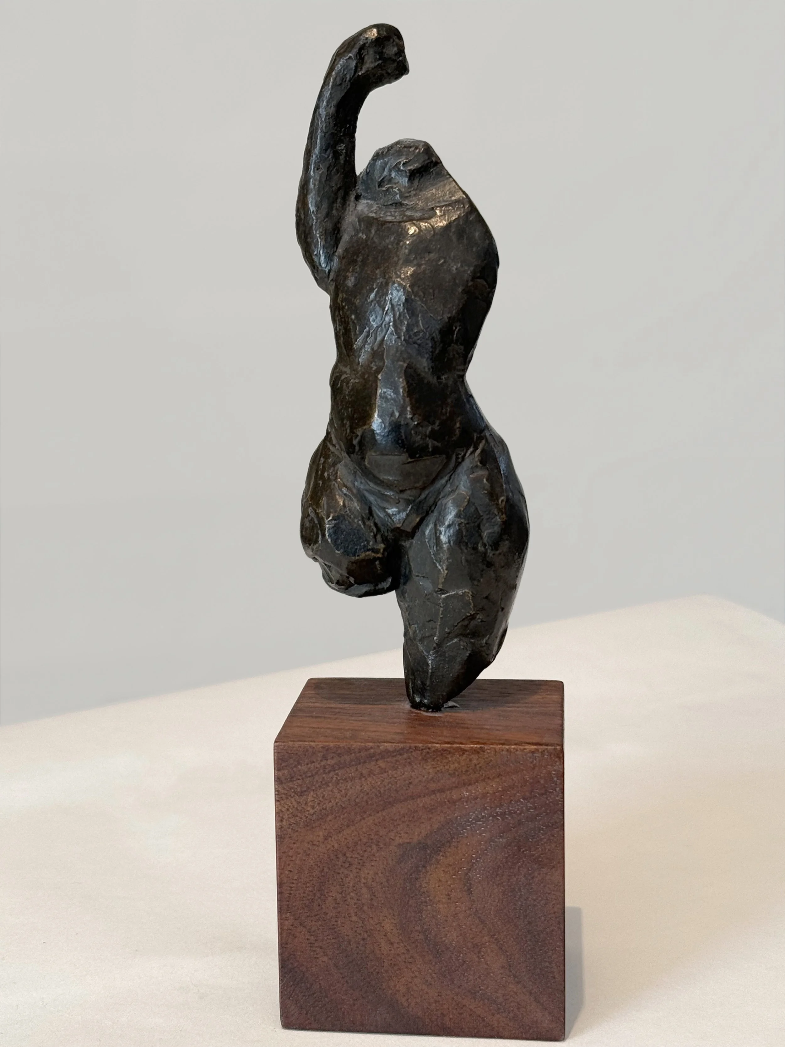 ©Dorian Goldman-Arm-Maquette-1.jpeg