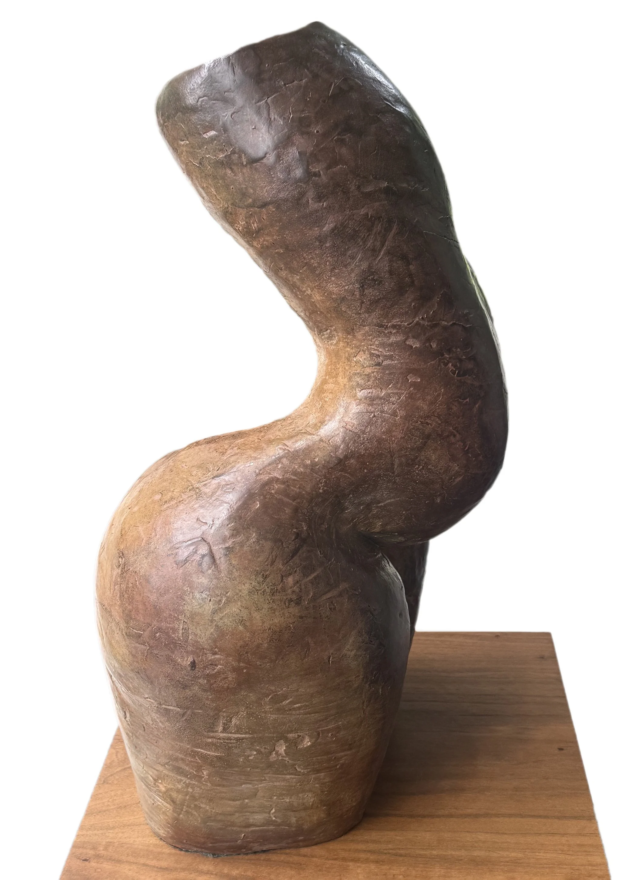 2026-D Goldman-Twisted Torso-08.jpeg