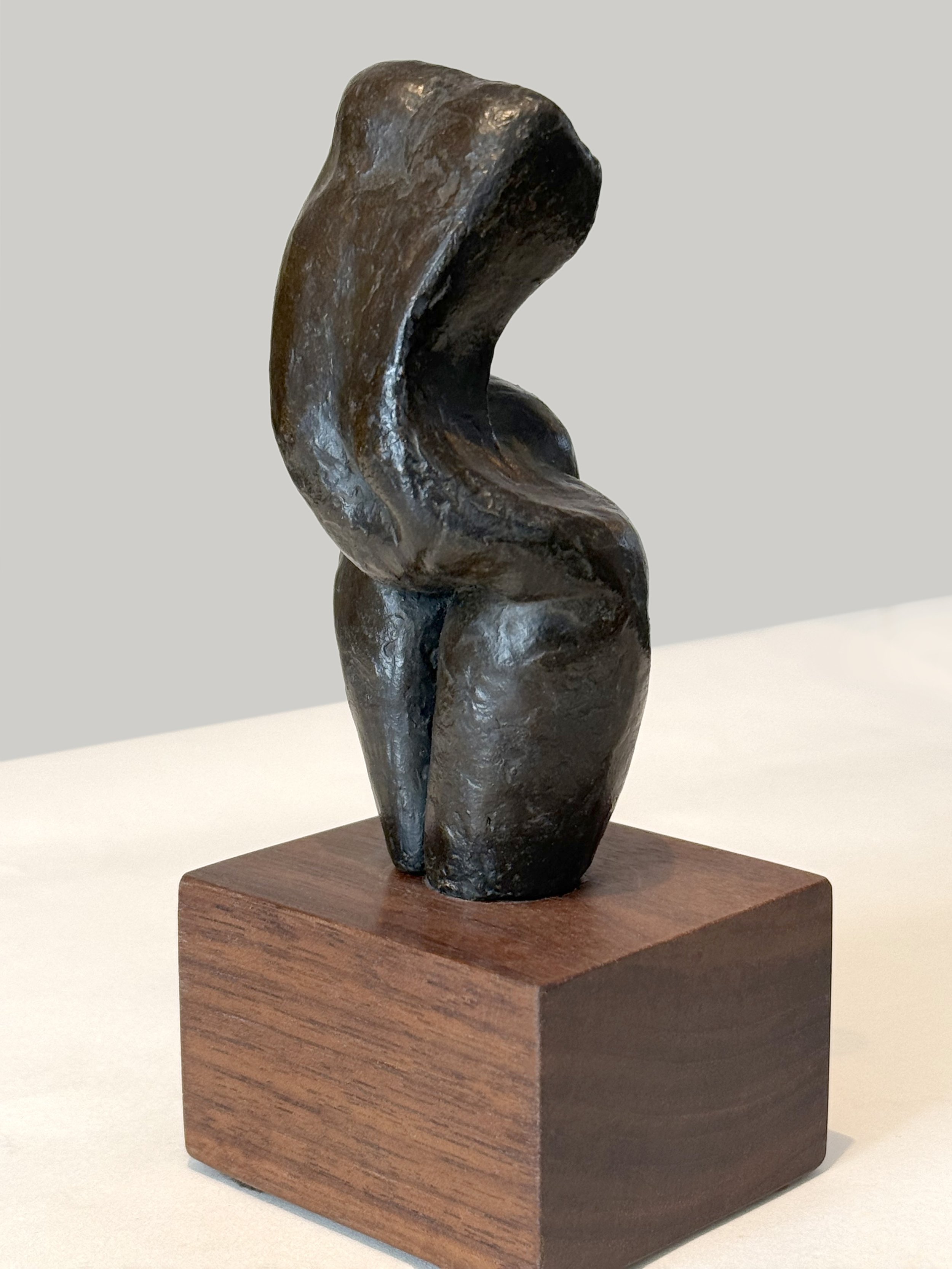 ©Dorian Goldman-Twisted-Maquette-1.jpeg