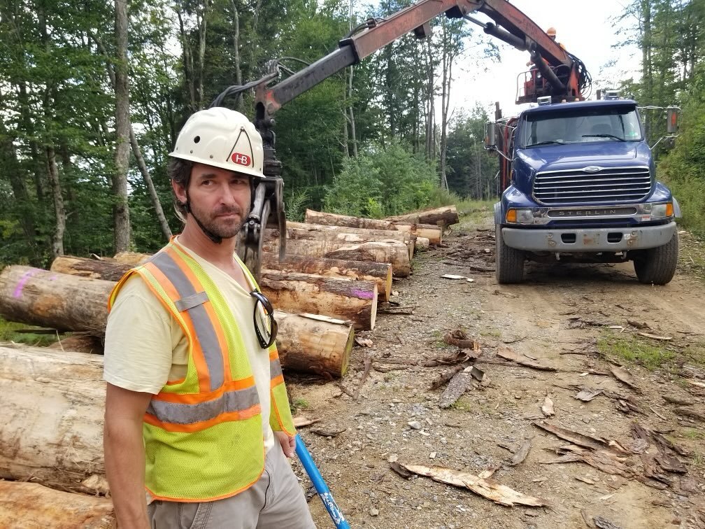 It&rsquo;s that time of the year again.  #redspruce #tonewood #tonewoodsupplier