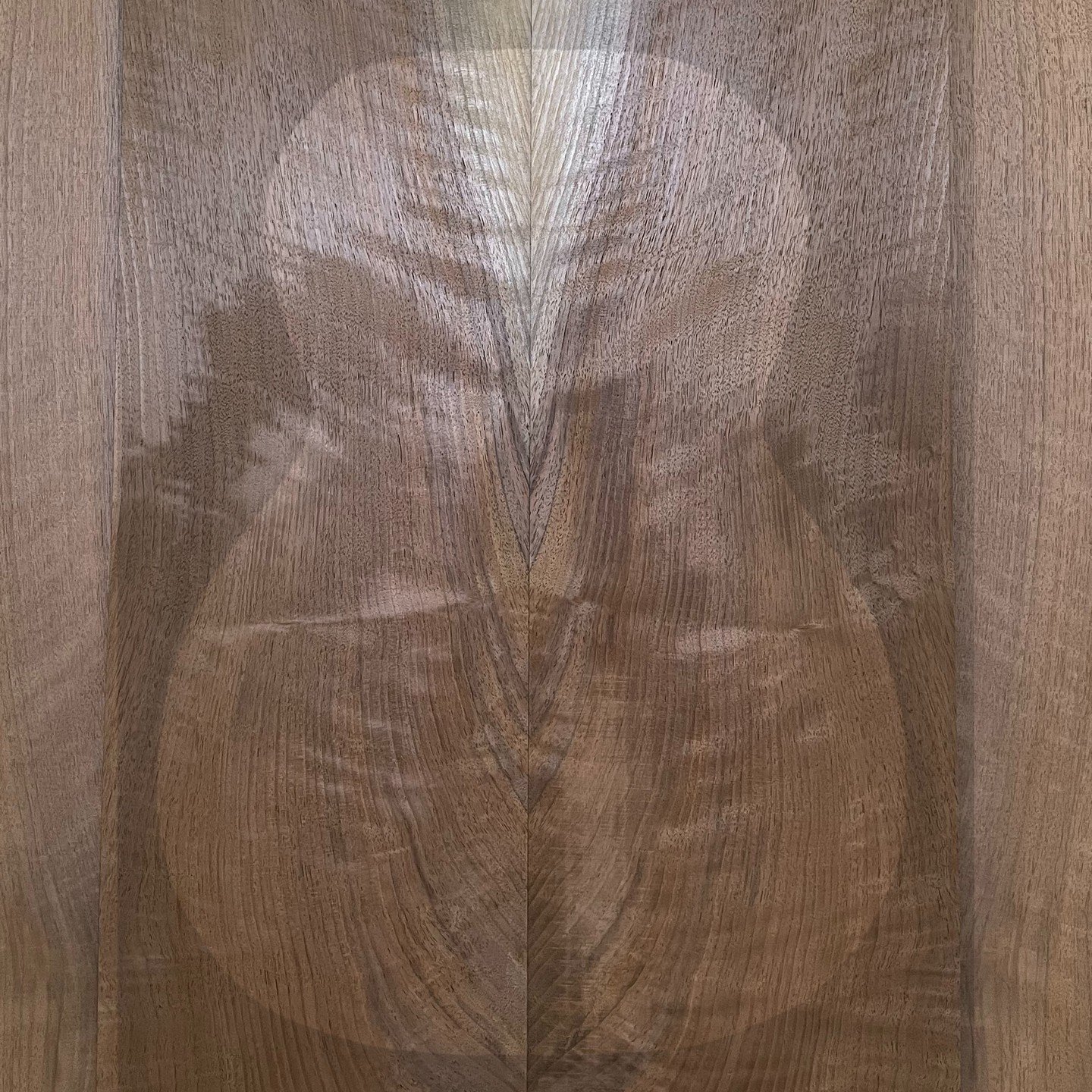Walnut Guitar Back and Sides Set

Available now, shop our inventory:
www.appalachiantonewood.com/shop

#walnut #tonewood #guitarback #figuredwalnut