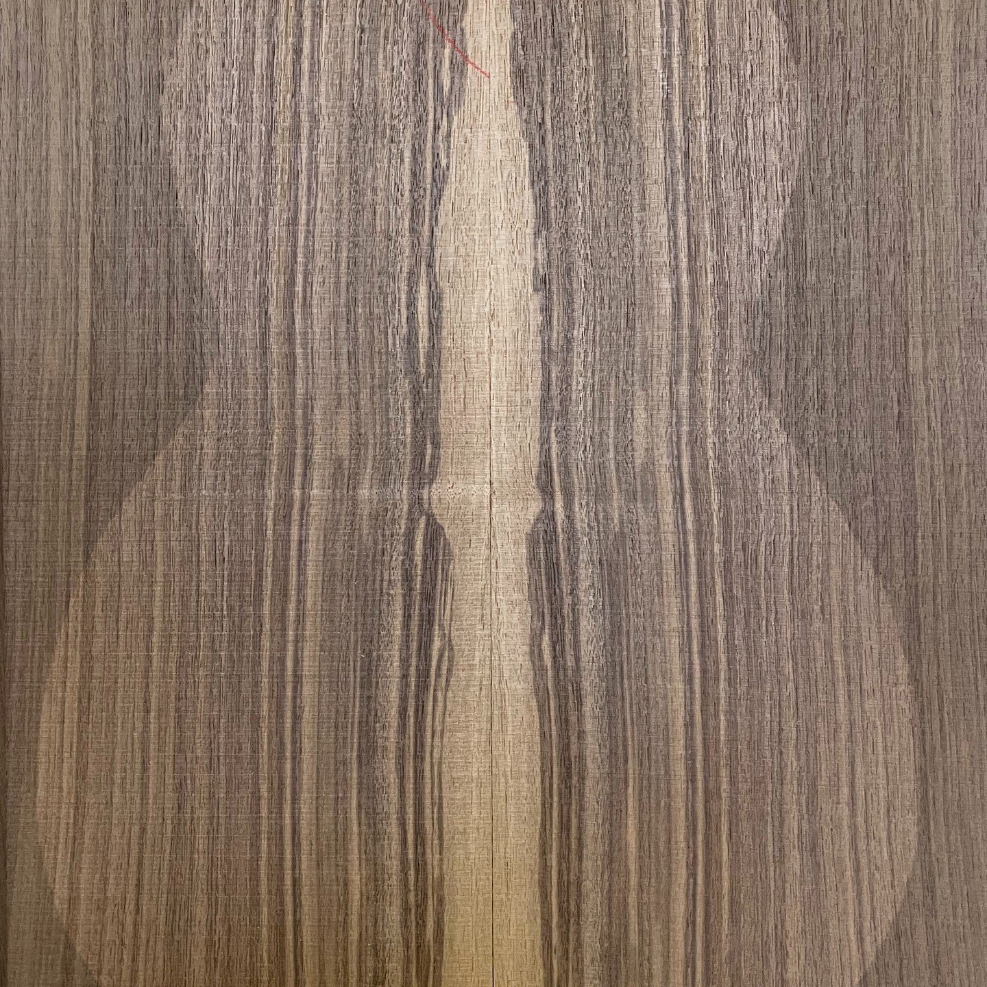 Walnut Back and Sides Sets, $89 per set

Available now at 
https://www.appalachiantonewood.com/shop/acoustic-guitar/back-side-sets

#walnut #walnutguitar #guitar #acousticguitar #flattopguitar #luthier #bookmatchedwalnut
